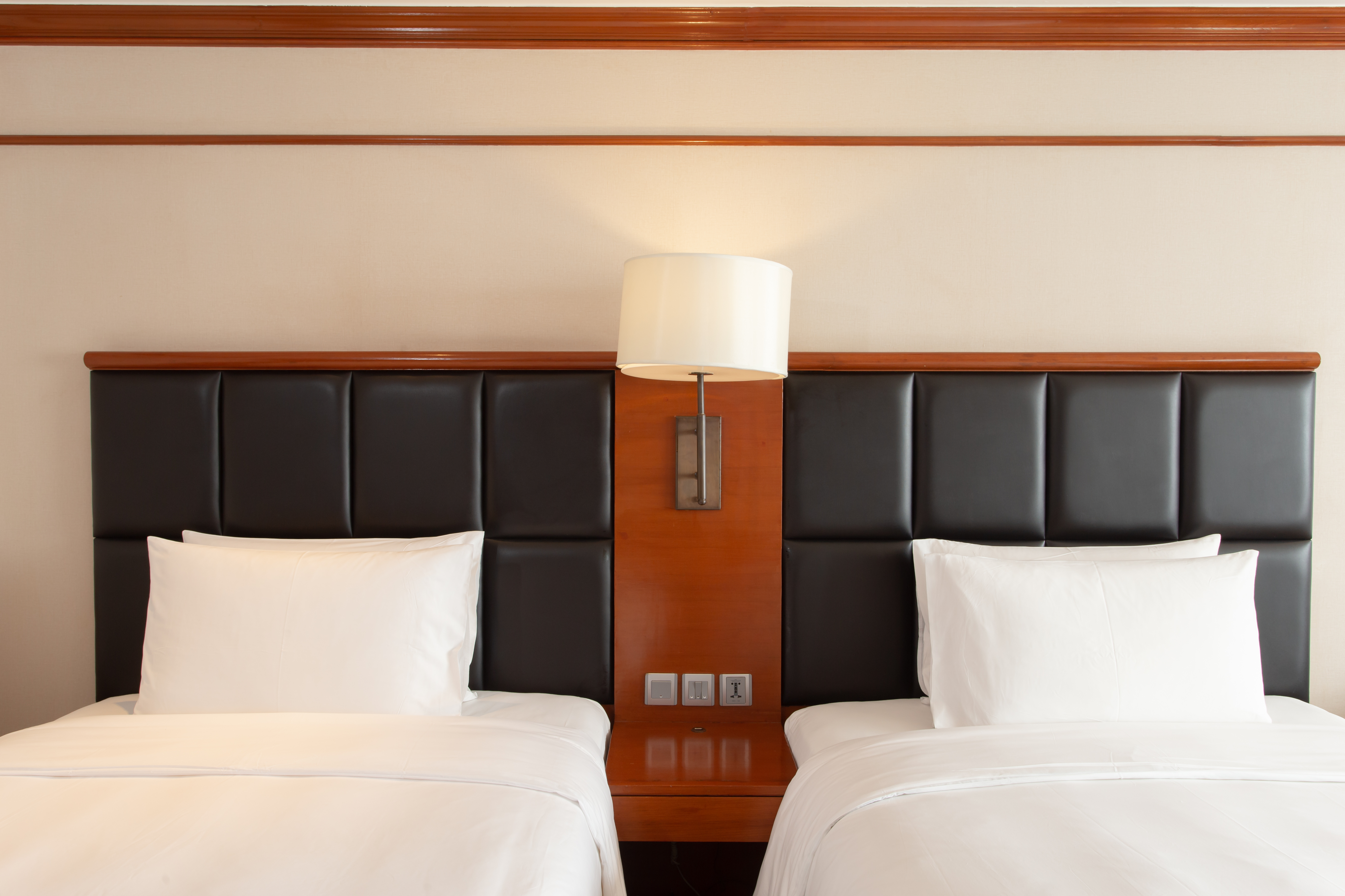 Twin Premium Queen Bed