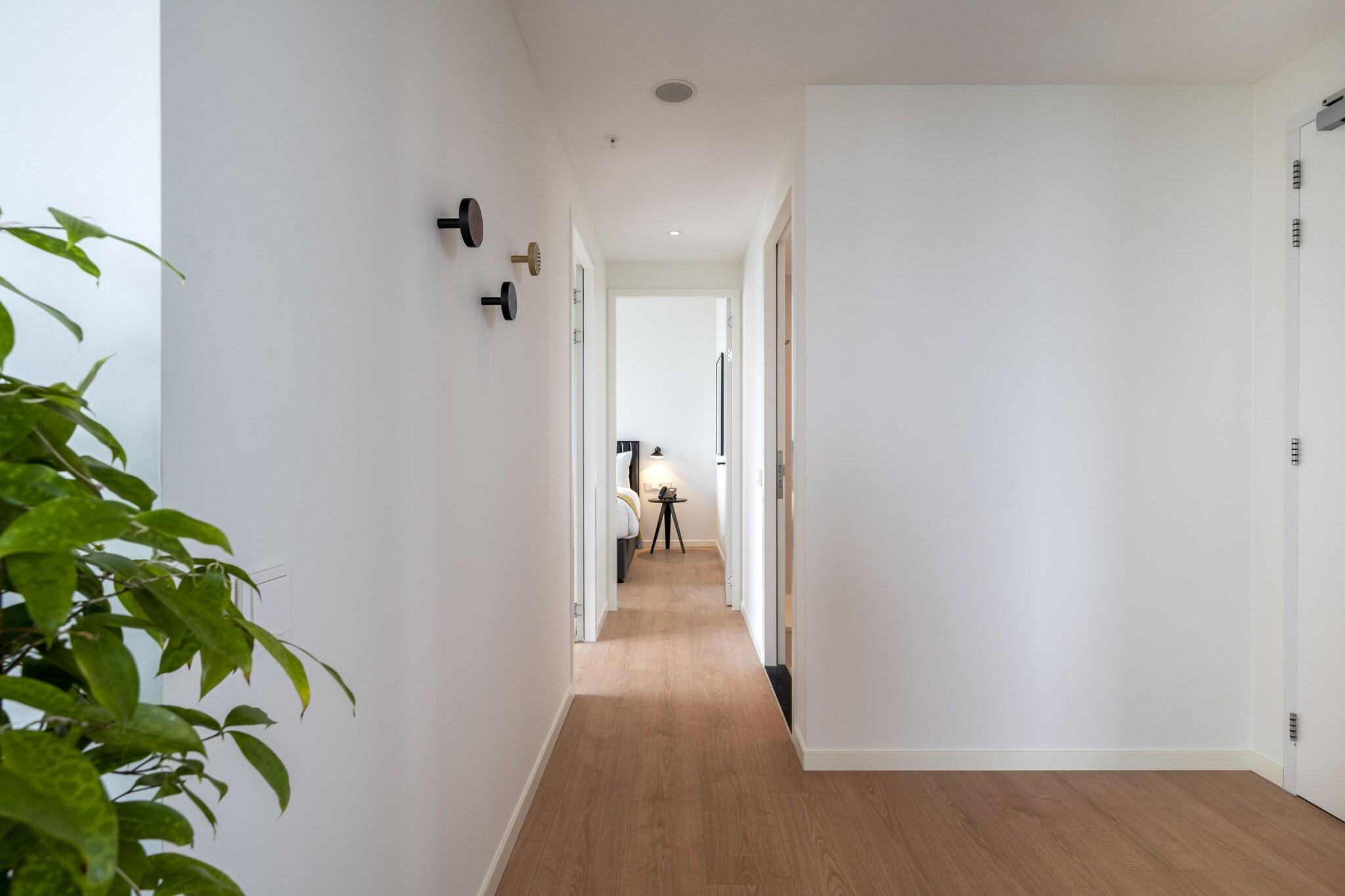 Apartment Two King Beds