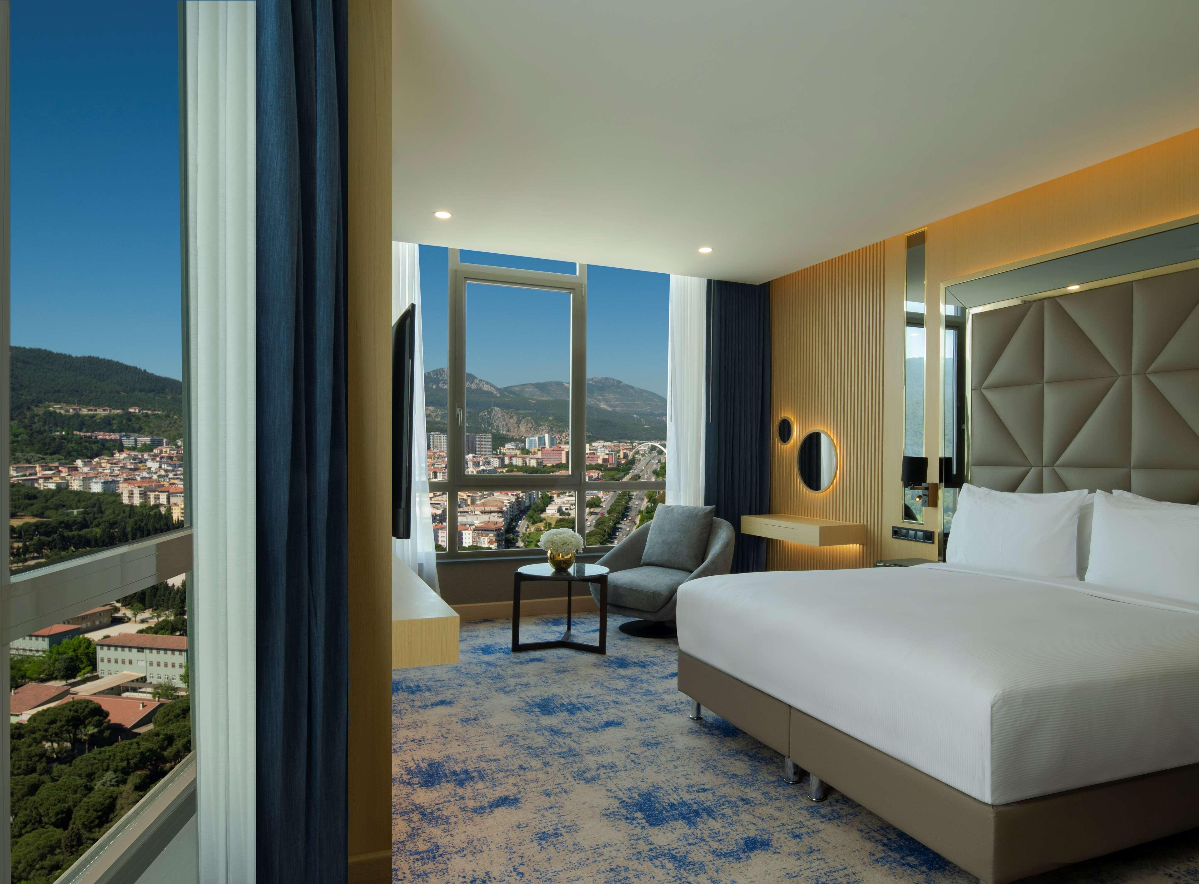 Double Deluxe Mountain View