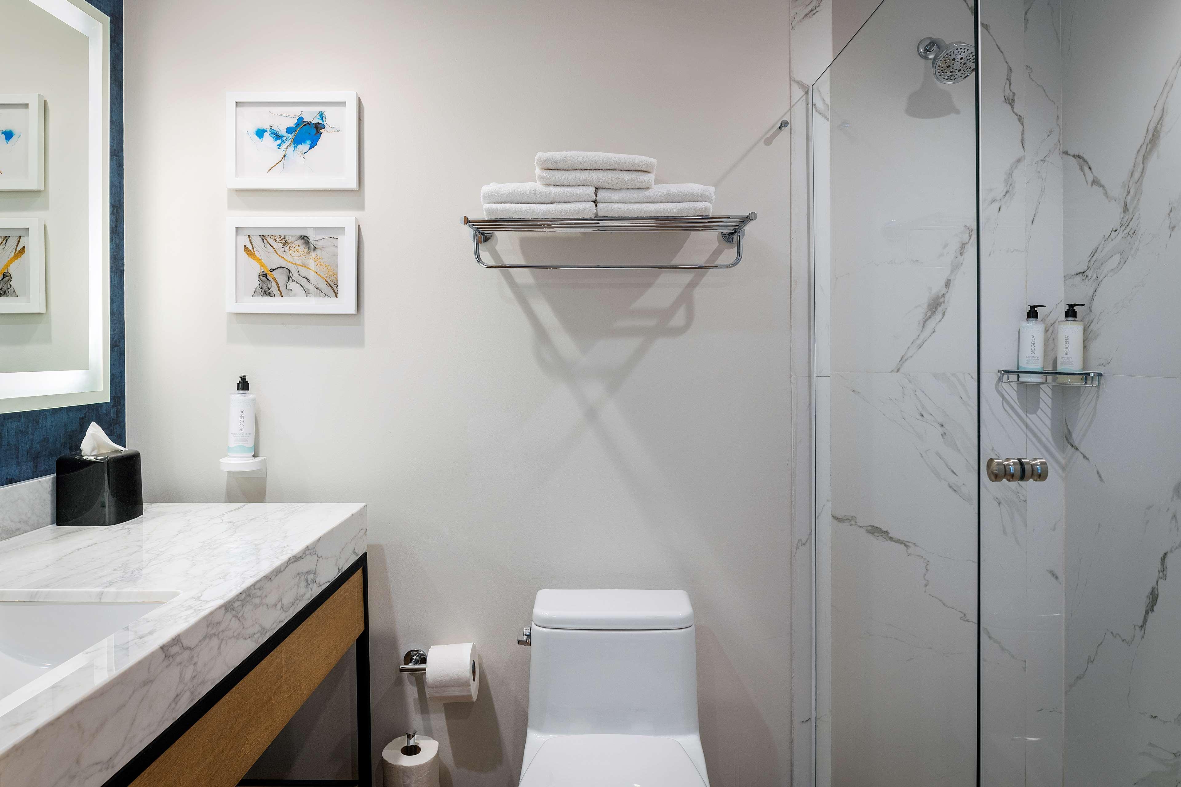 Twin Two Queen Beds Premium