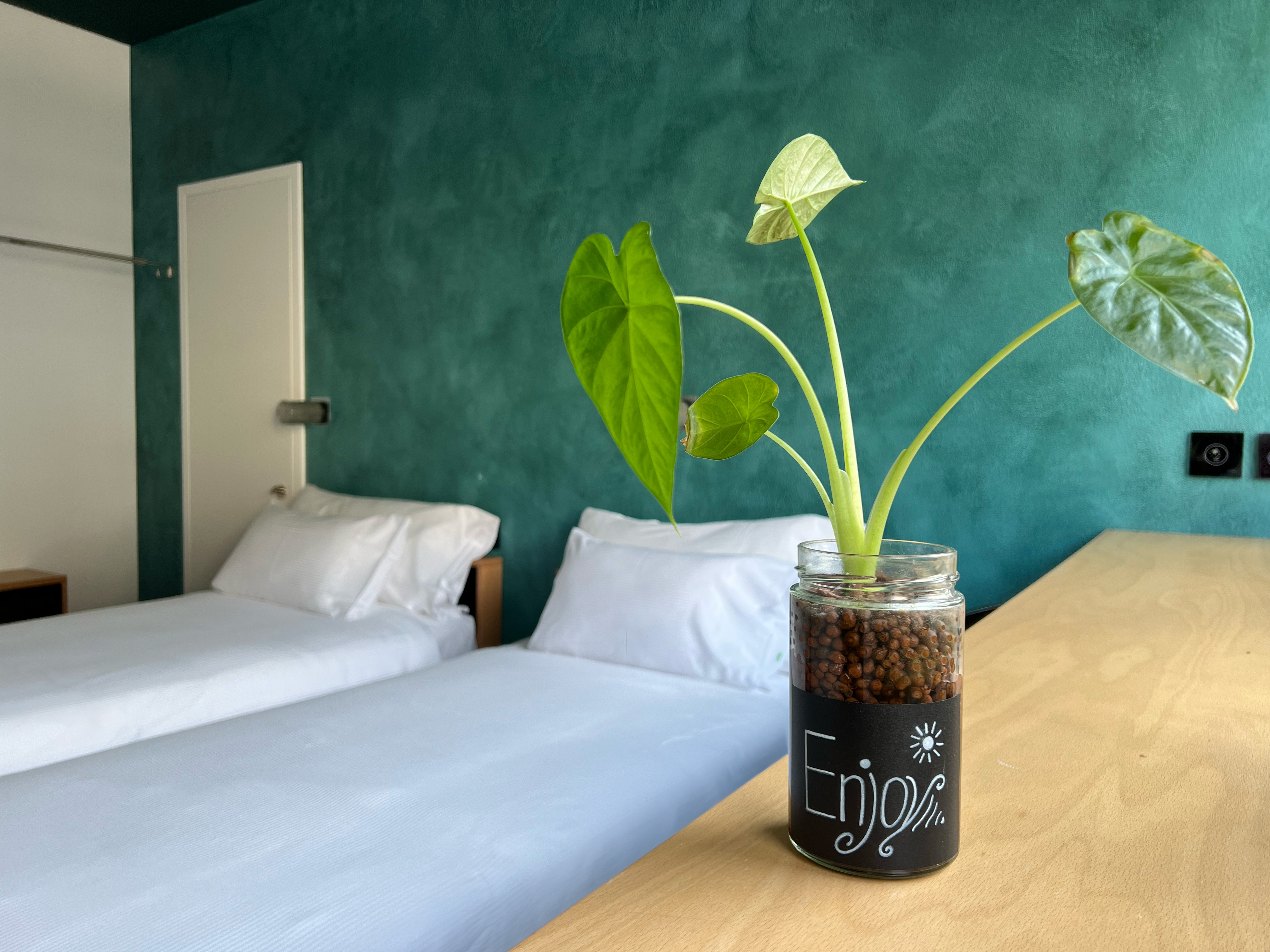 Double Mountain View