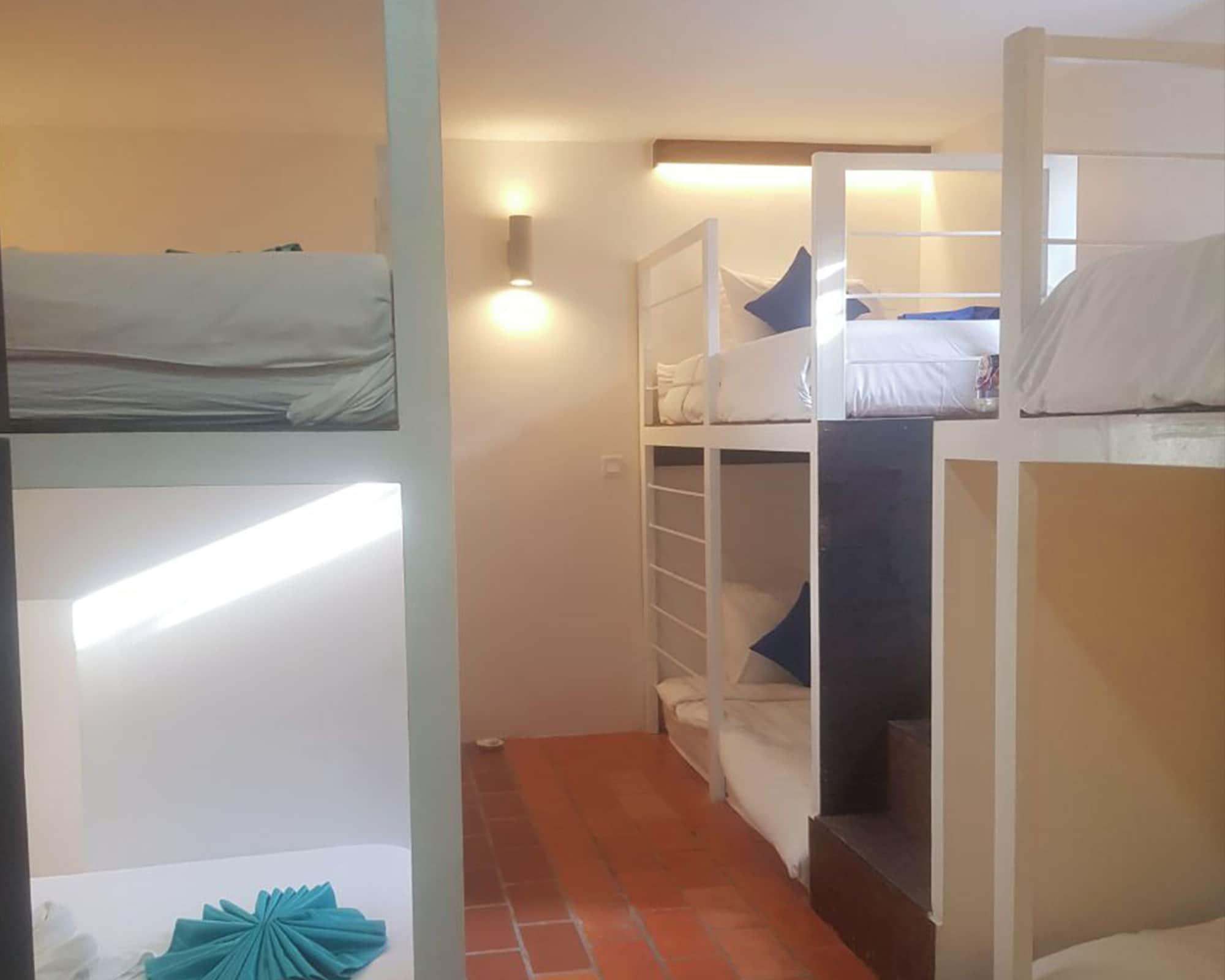 Bed in Dormitory Bunk Bed