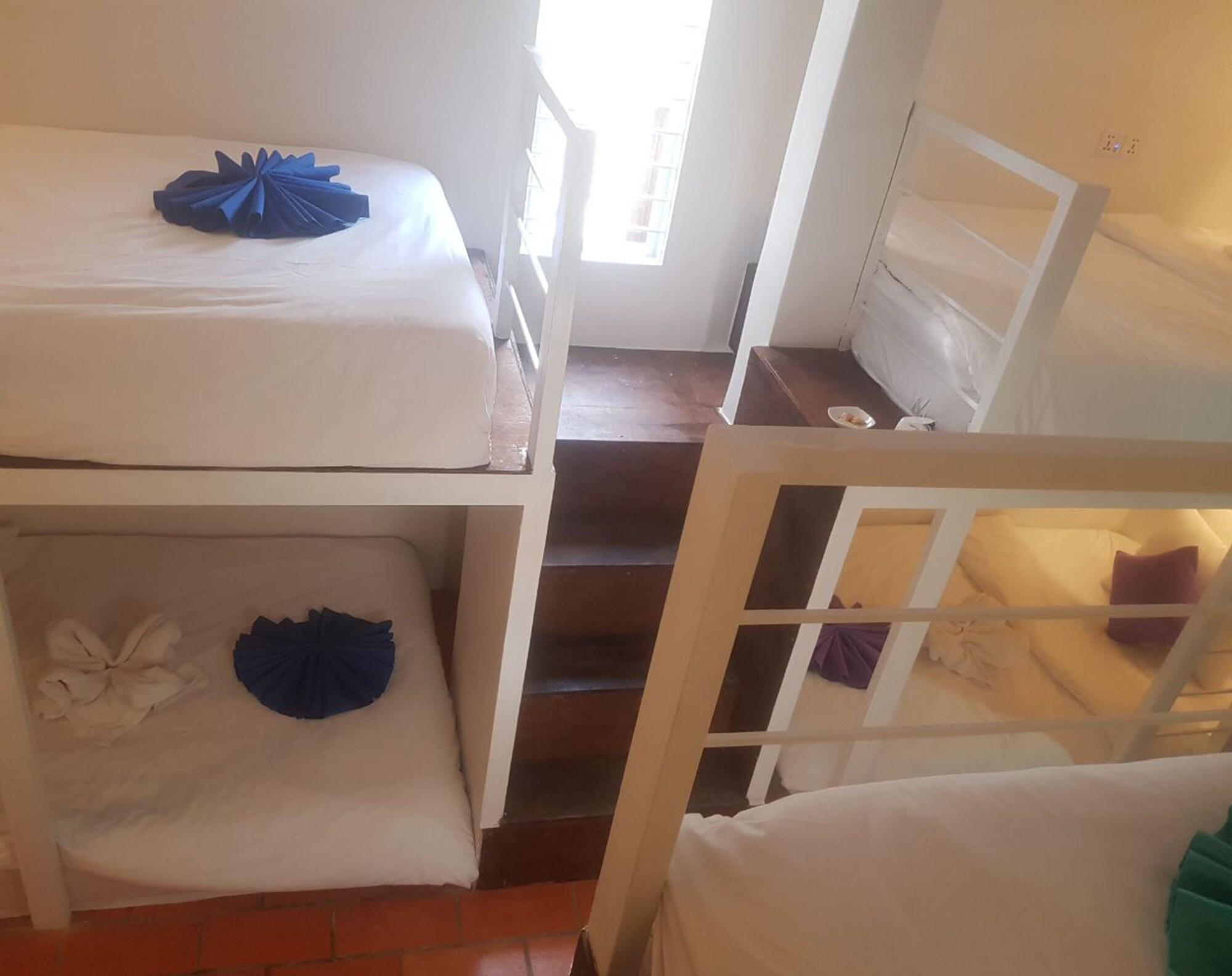 Bed in Dormitory Bunk Bed