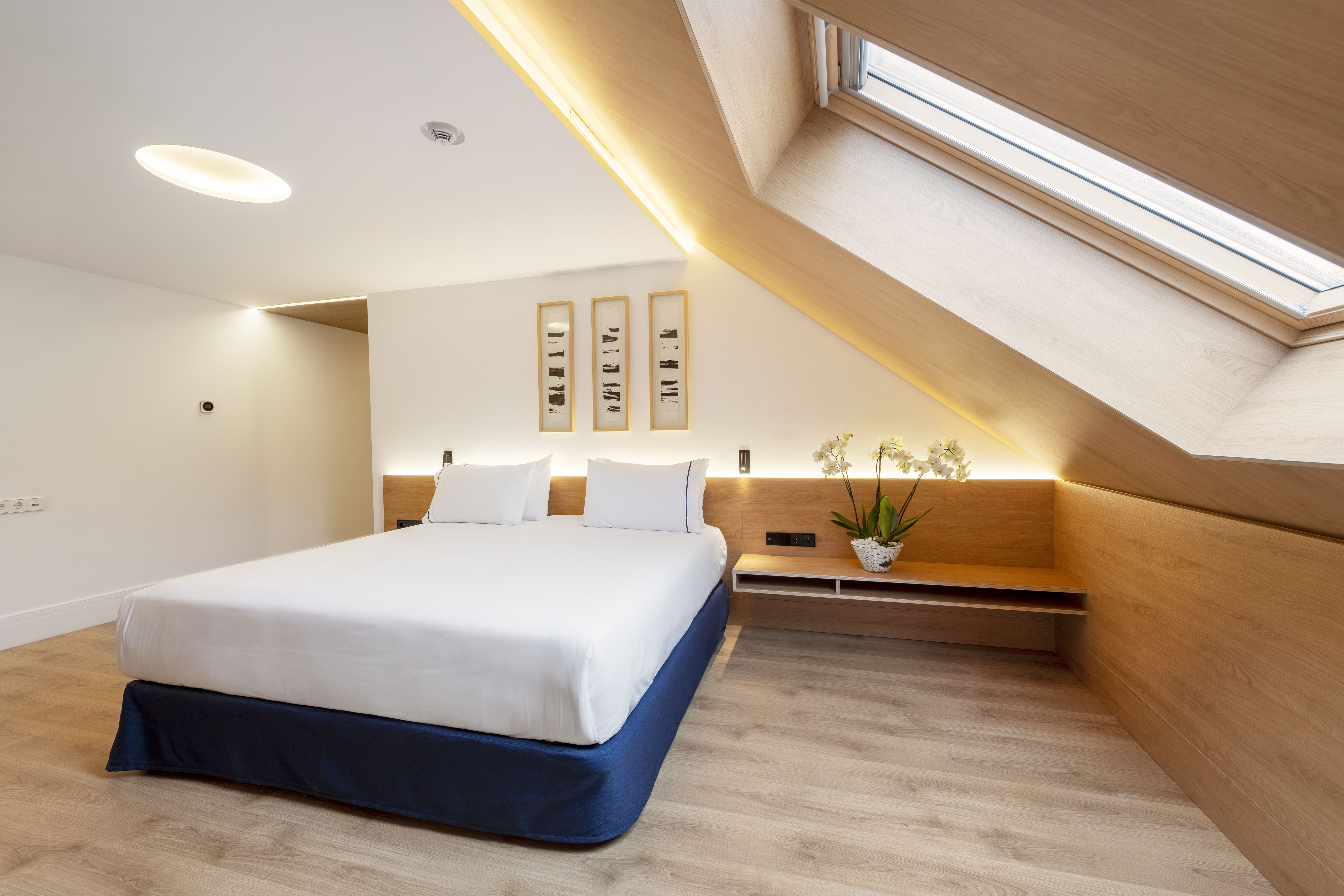 Double or Twin Superior