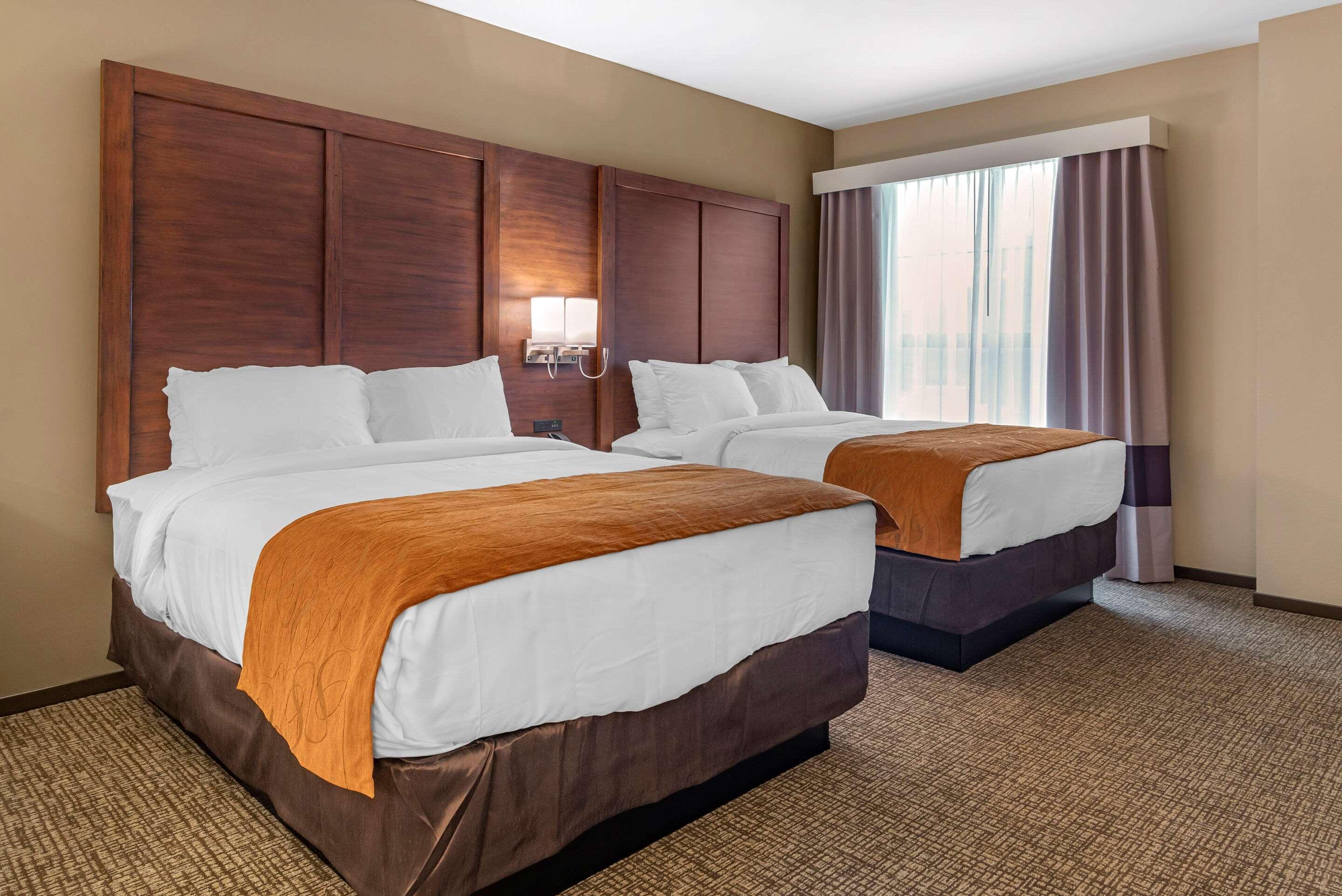 Suite Two Queen Beds