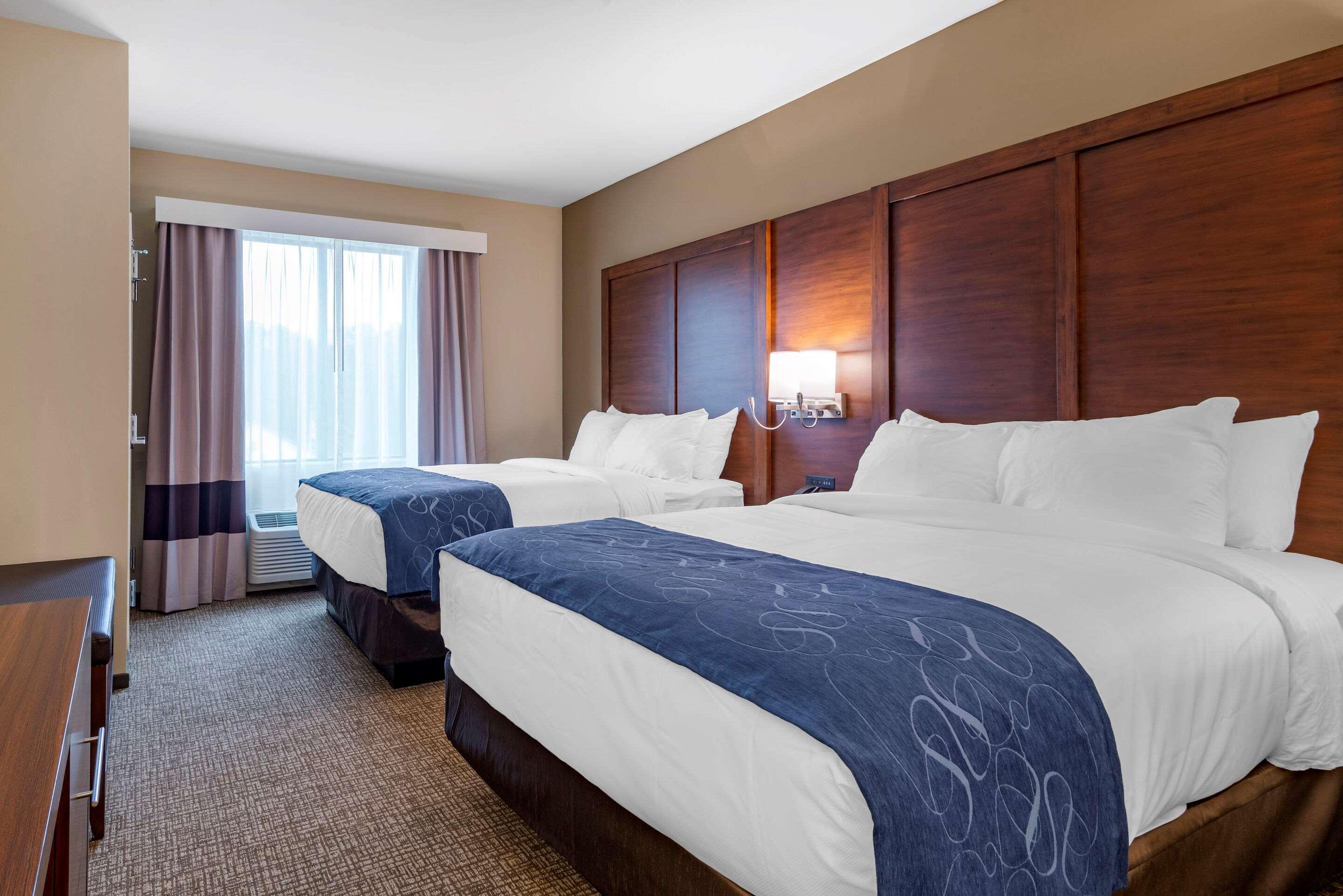 Suite Two Queen Beds