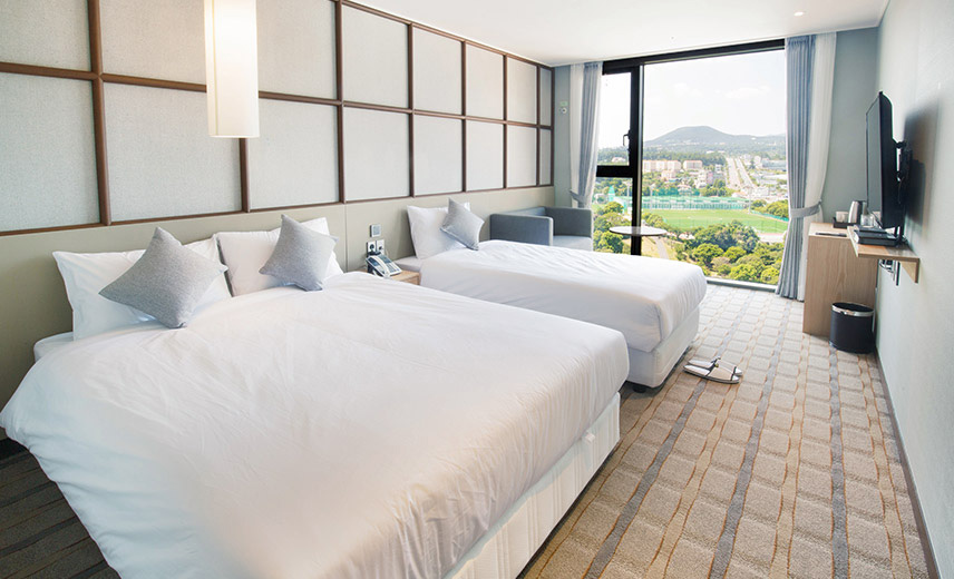 Family Room Two Beds