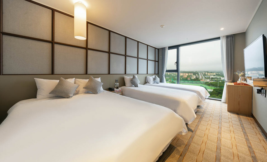 Family Room Three Beds