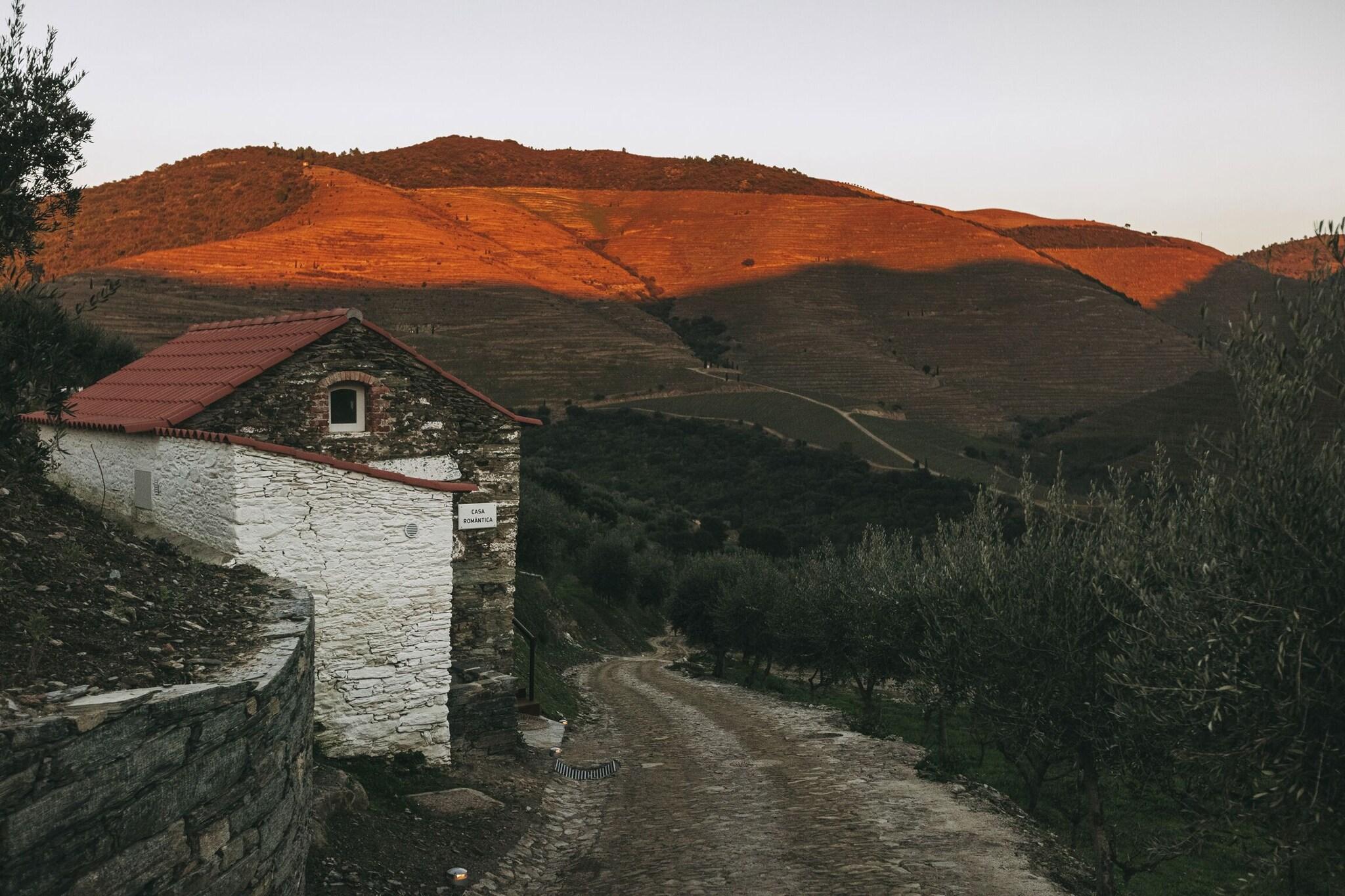 Junior Suite King Size Bed