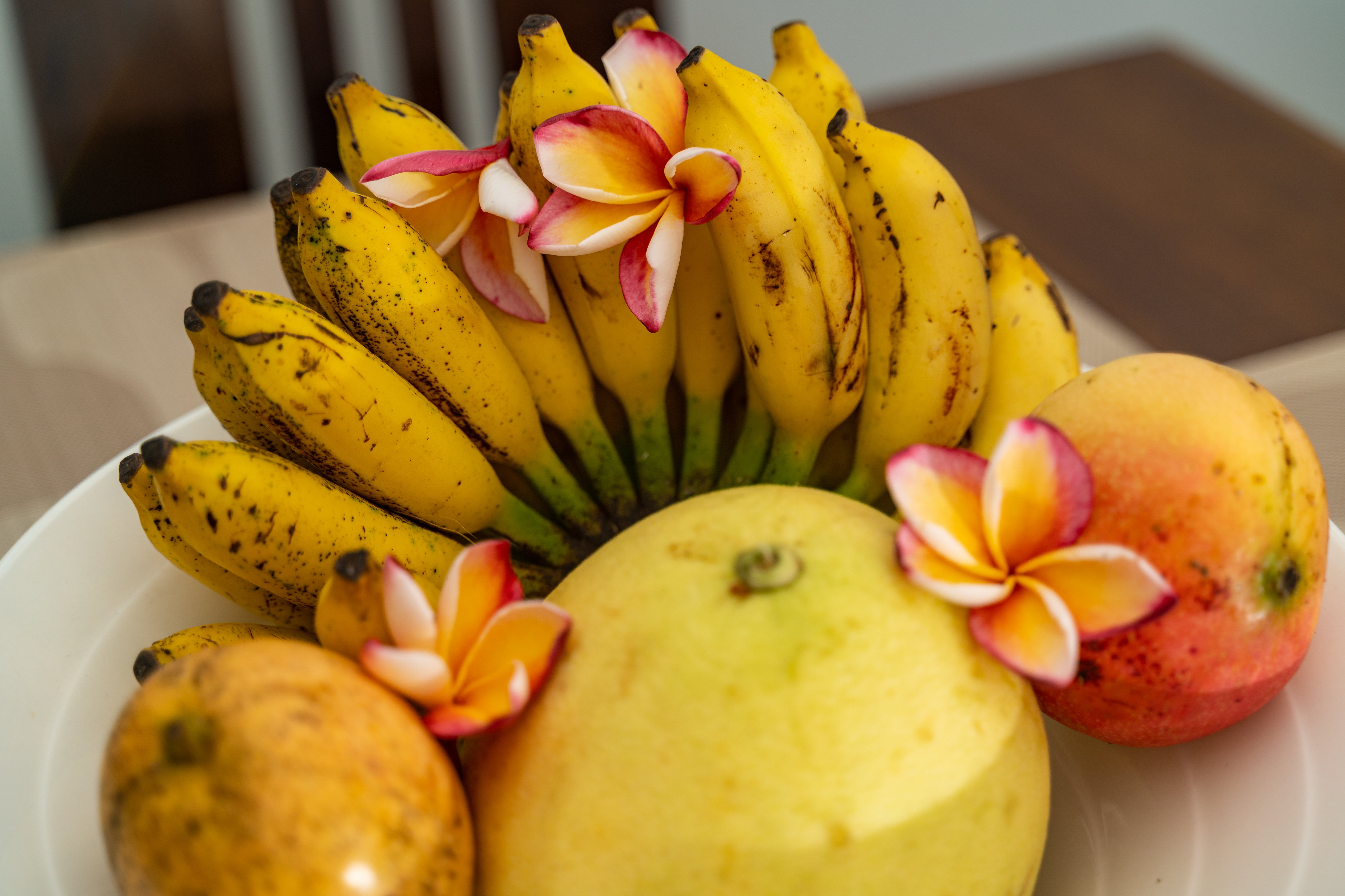 Apartment Classic One Bedroom