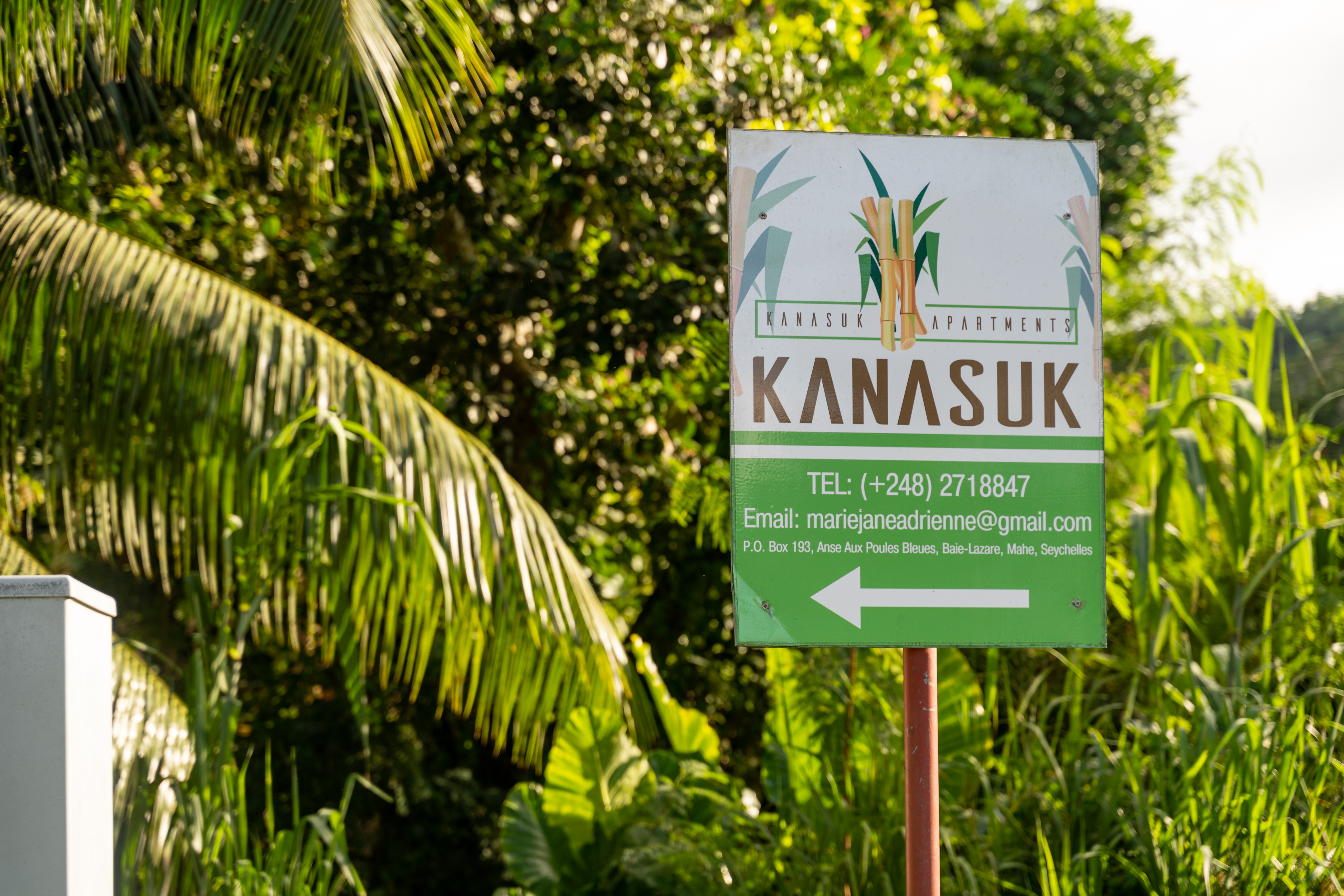 Apartment Classic One Bedroom