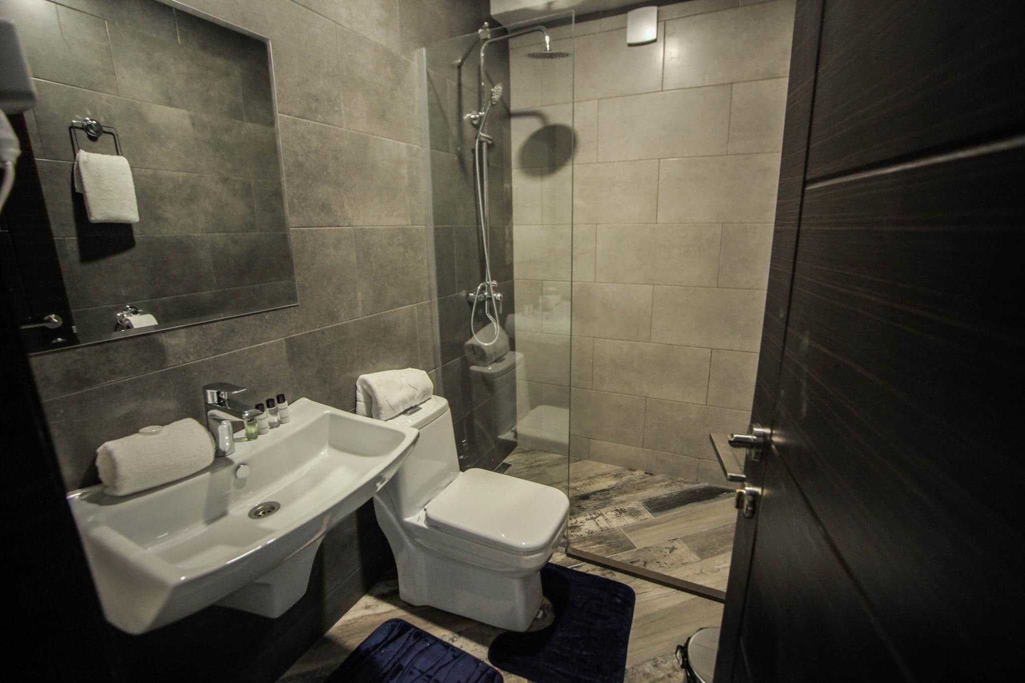 Double or Twin Economy