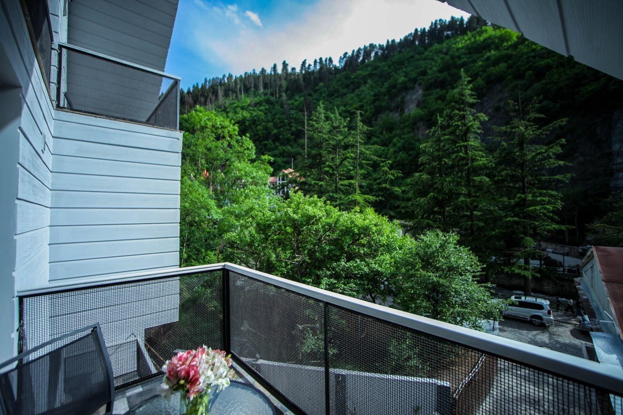 Double or Twin Economy