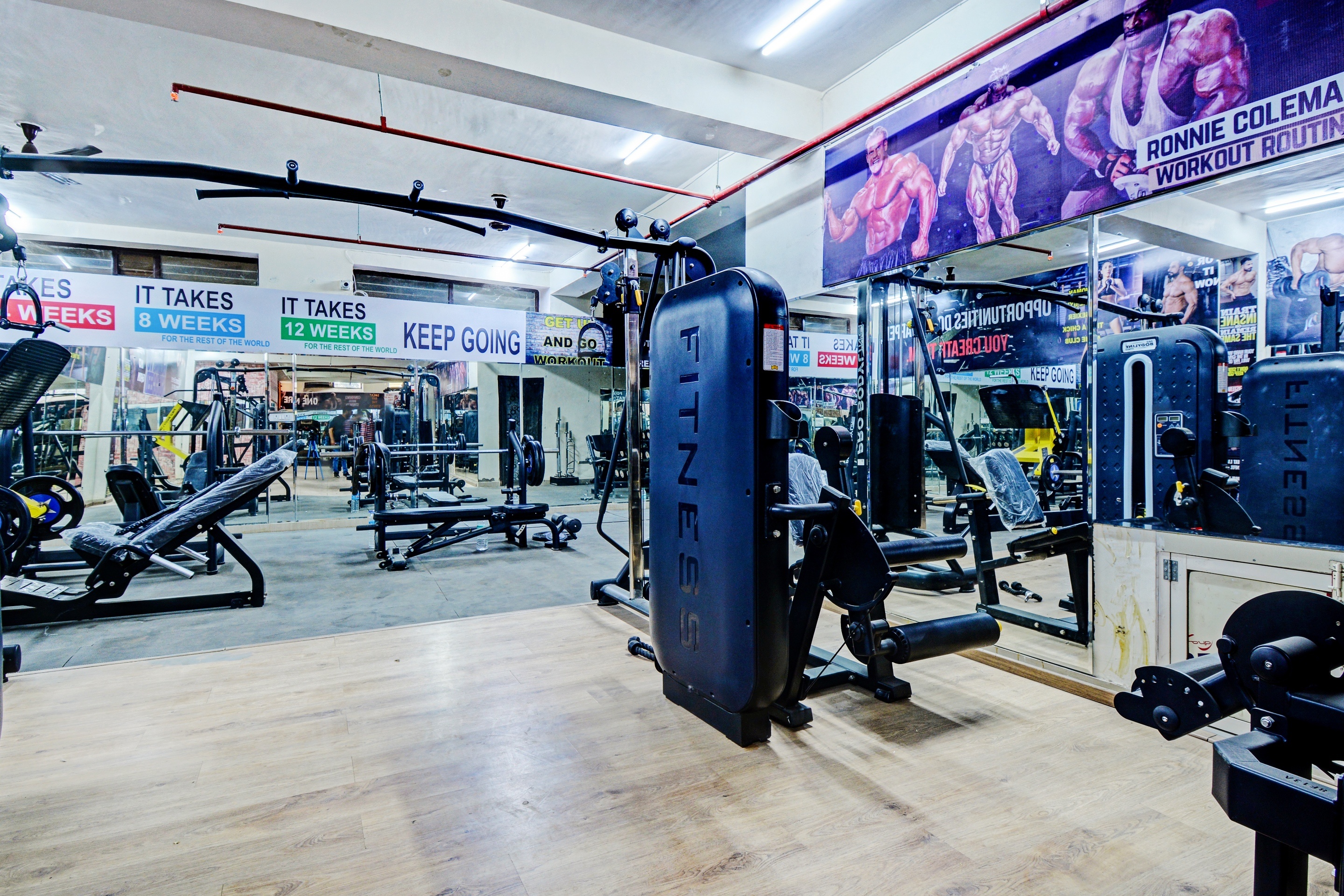 Sports and Entertainment