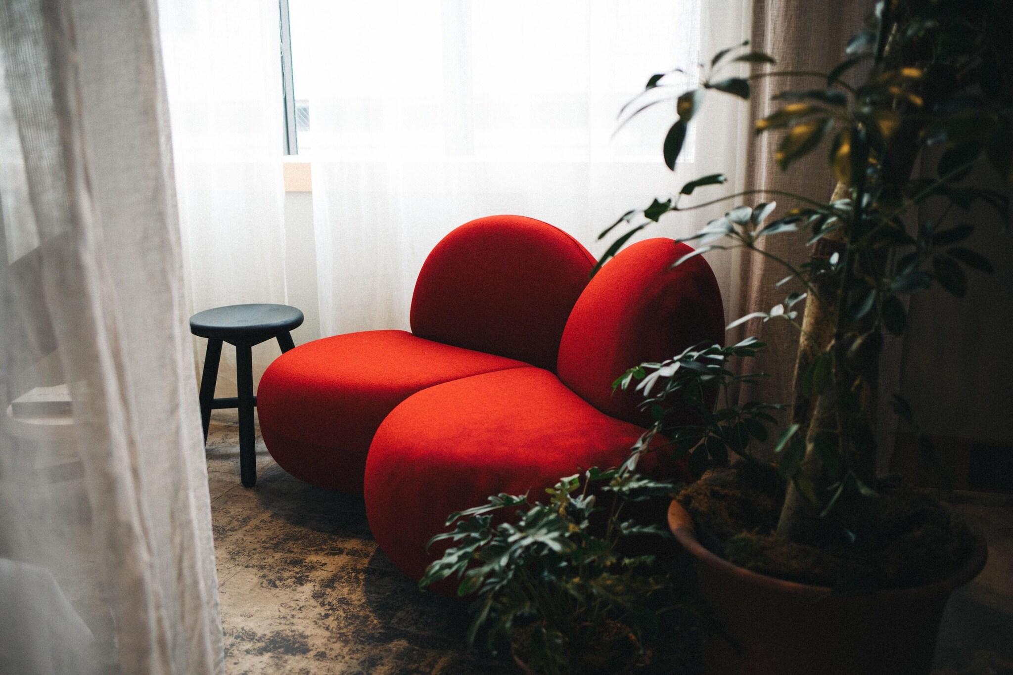 Double King Bed Non Smoking