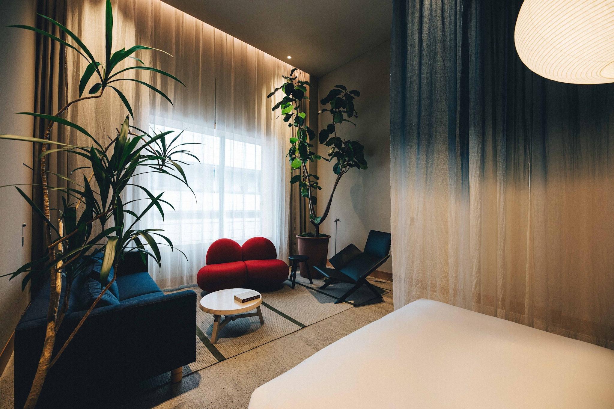 Junior Suite King Bed Non Smoking