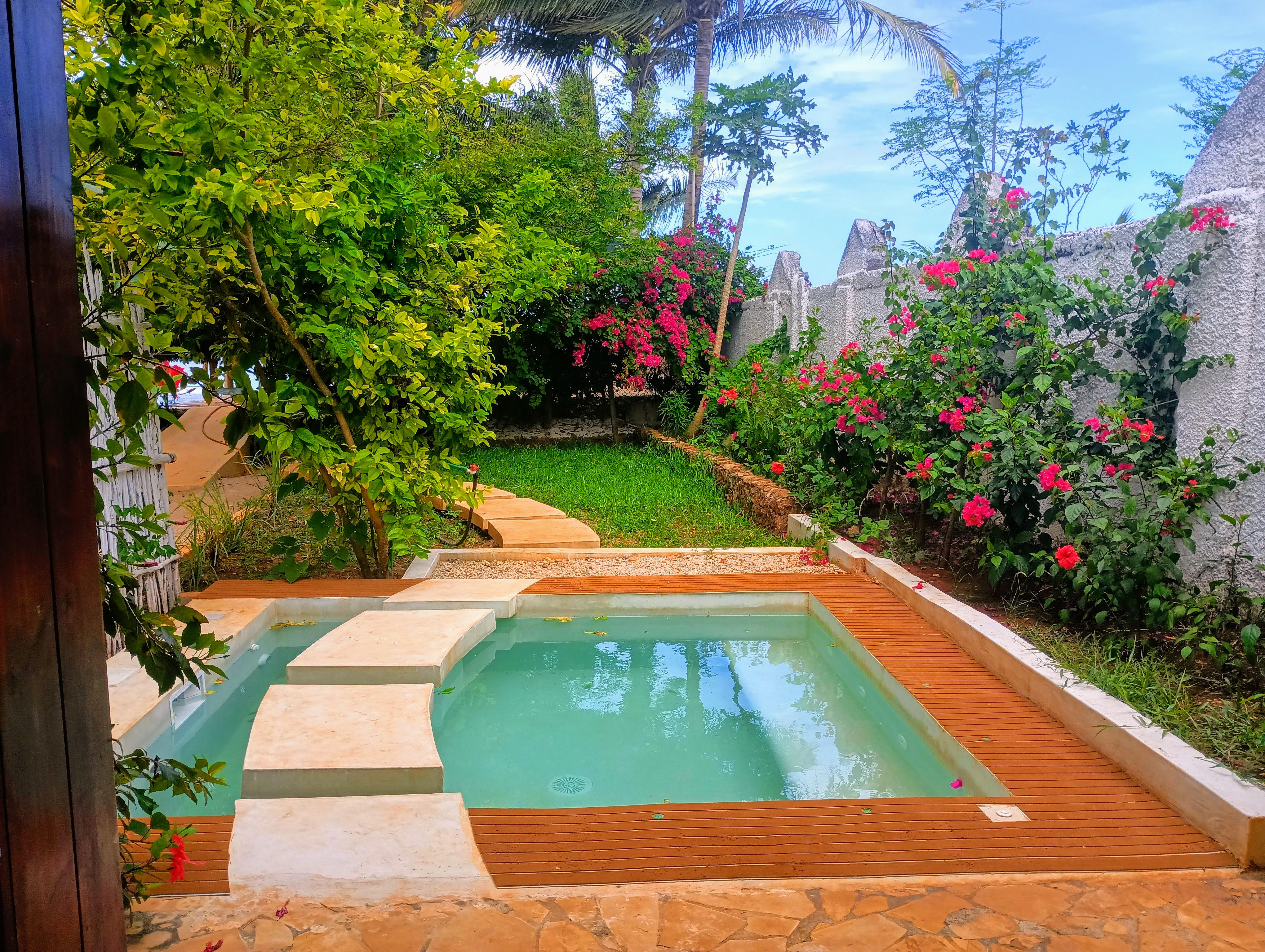 Junior Suite Ocean Front King Bed
