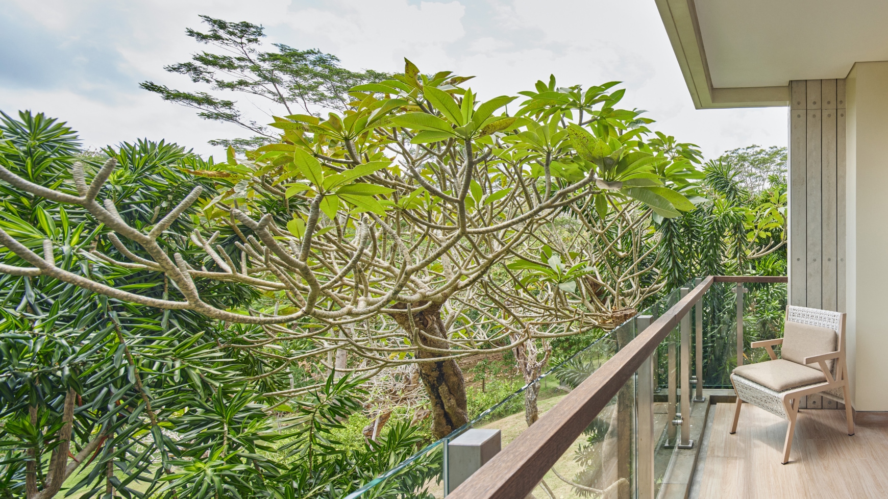 Double or Twin with Views