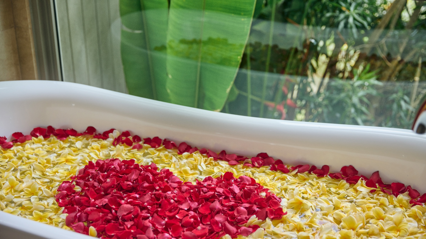 Room Two Bedrooms with Views