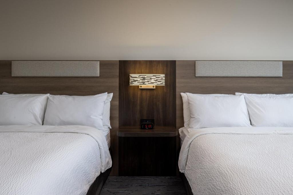 Double Two Queen Beds