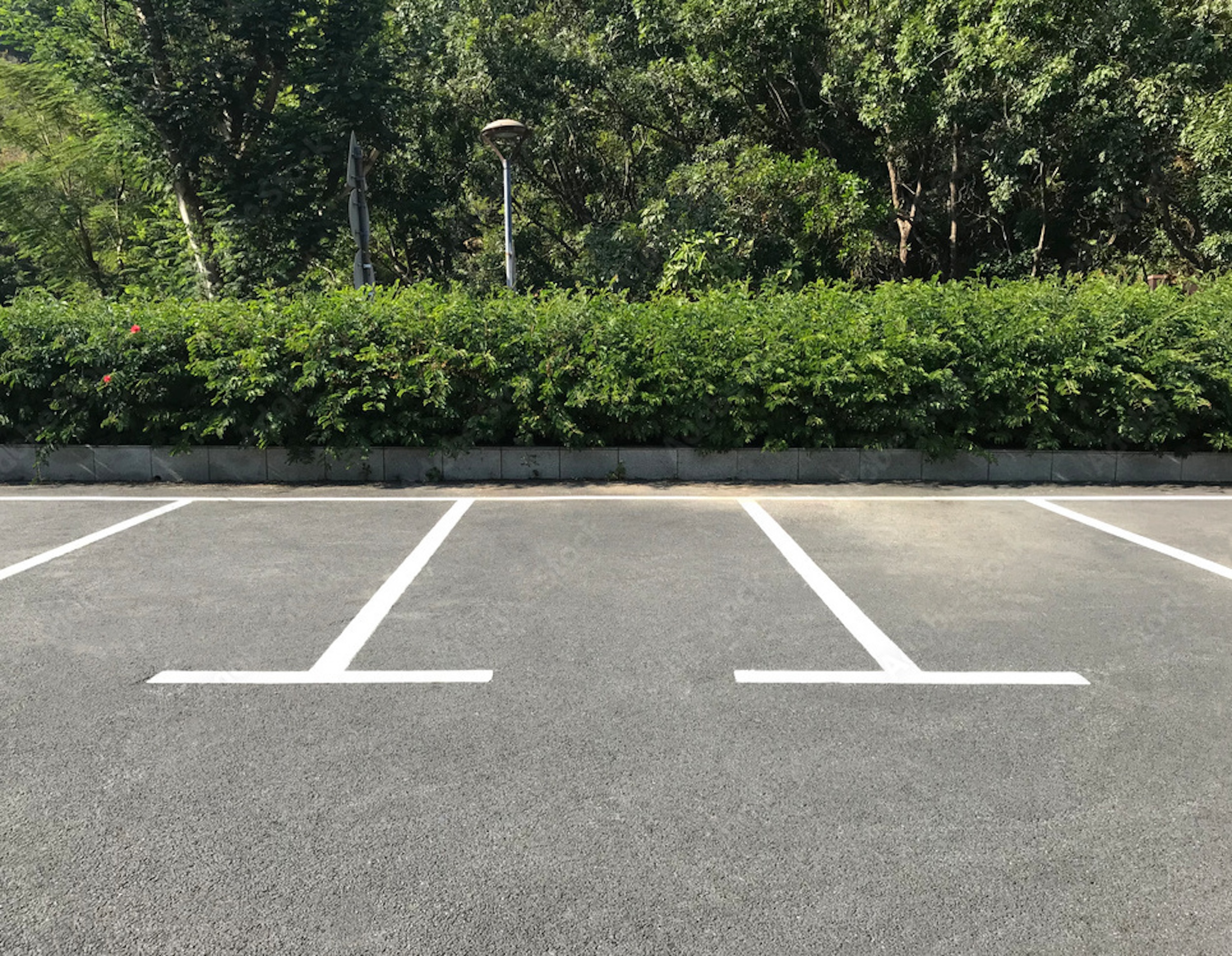 Studio with Kitchenette