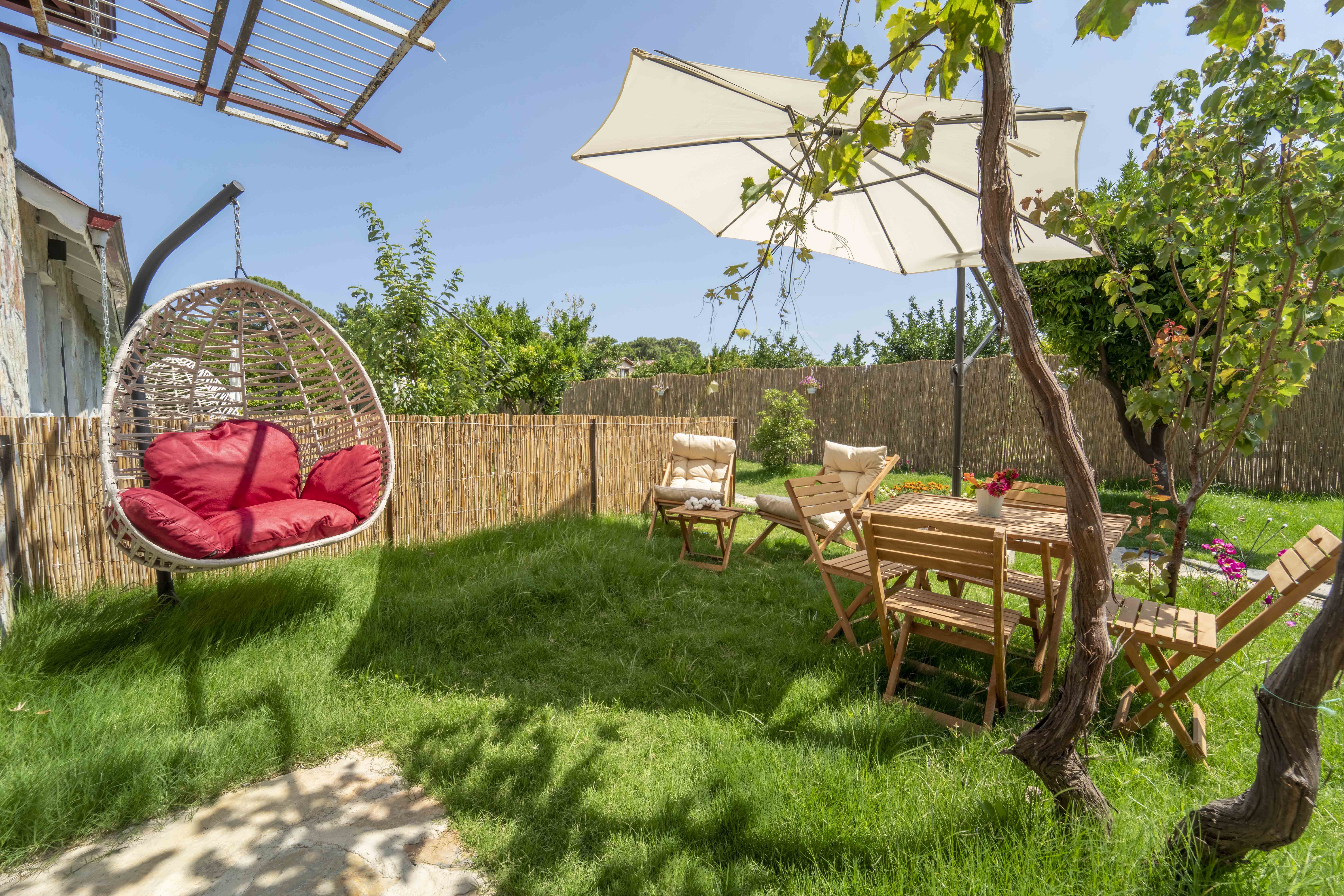 Double or Twin Economy