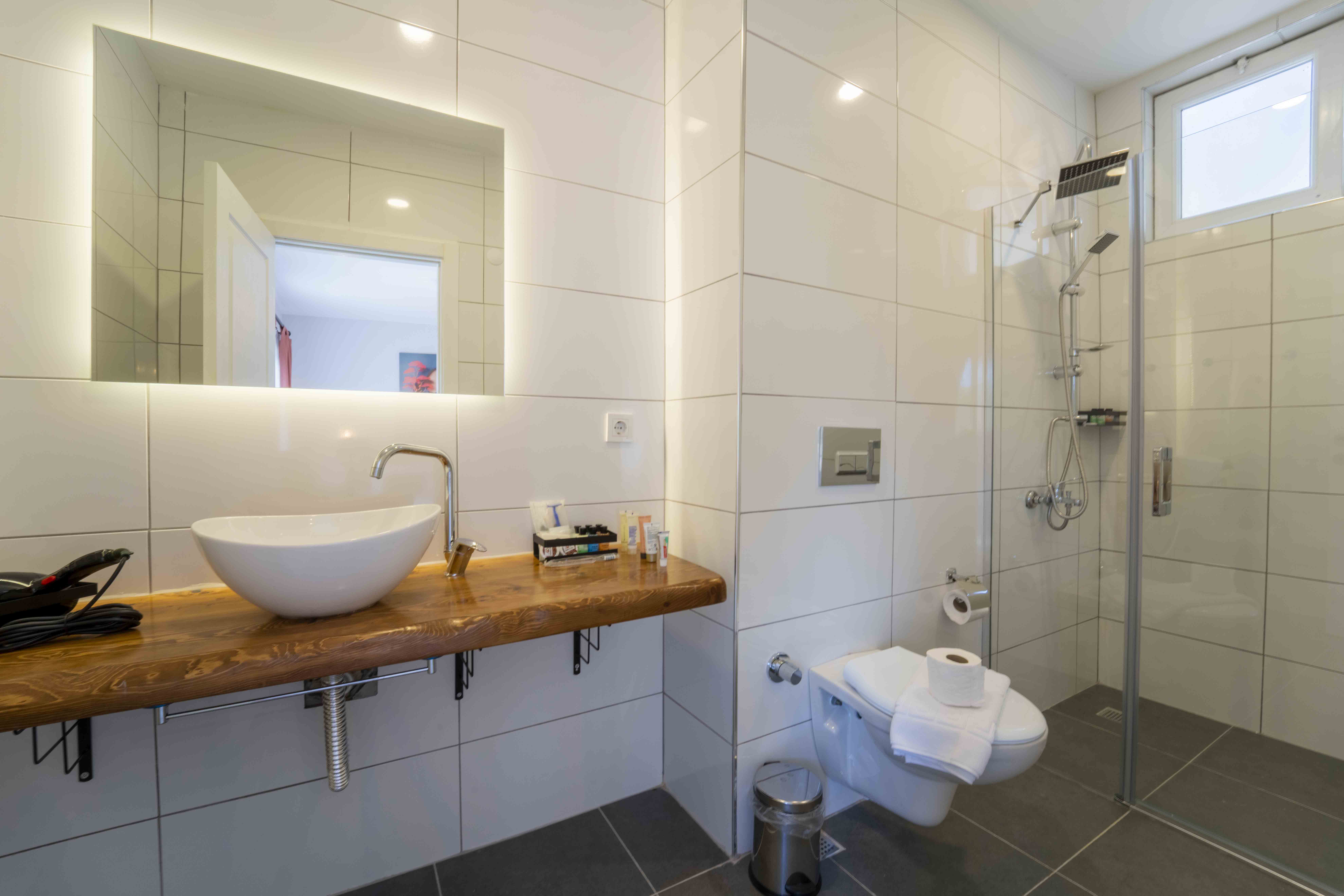 Double or Twin Economy