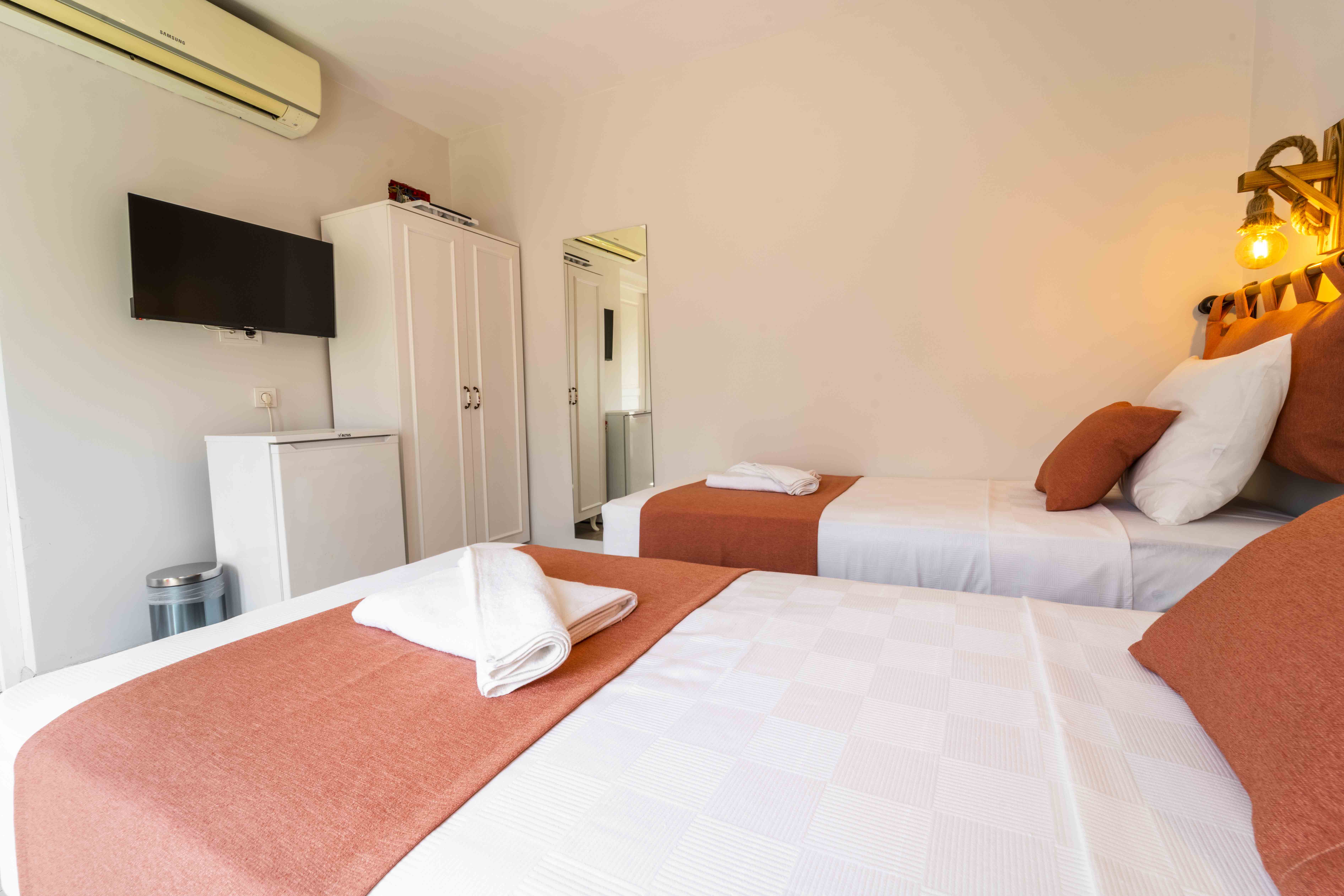 Double or Twin Economy