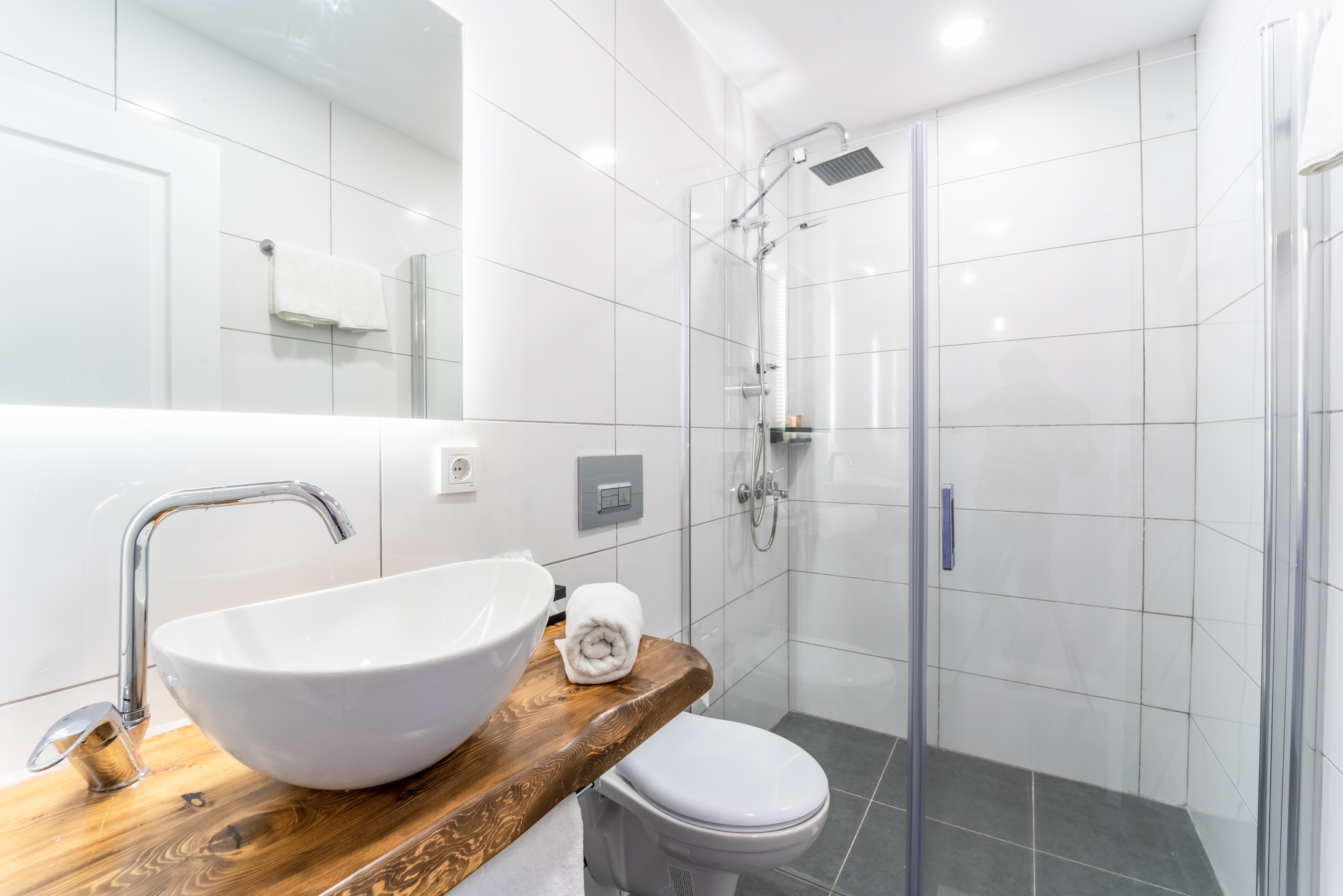 Double or Twin Economy