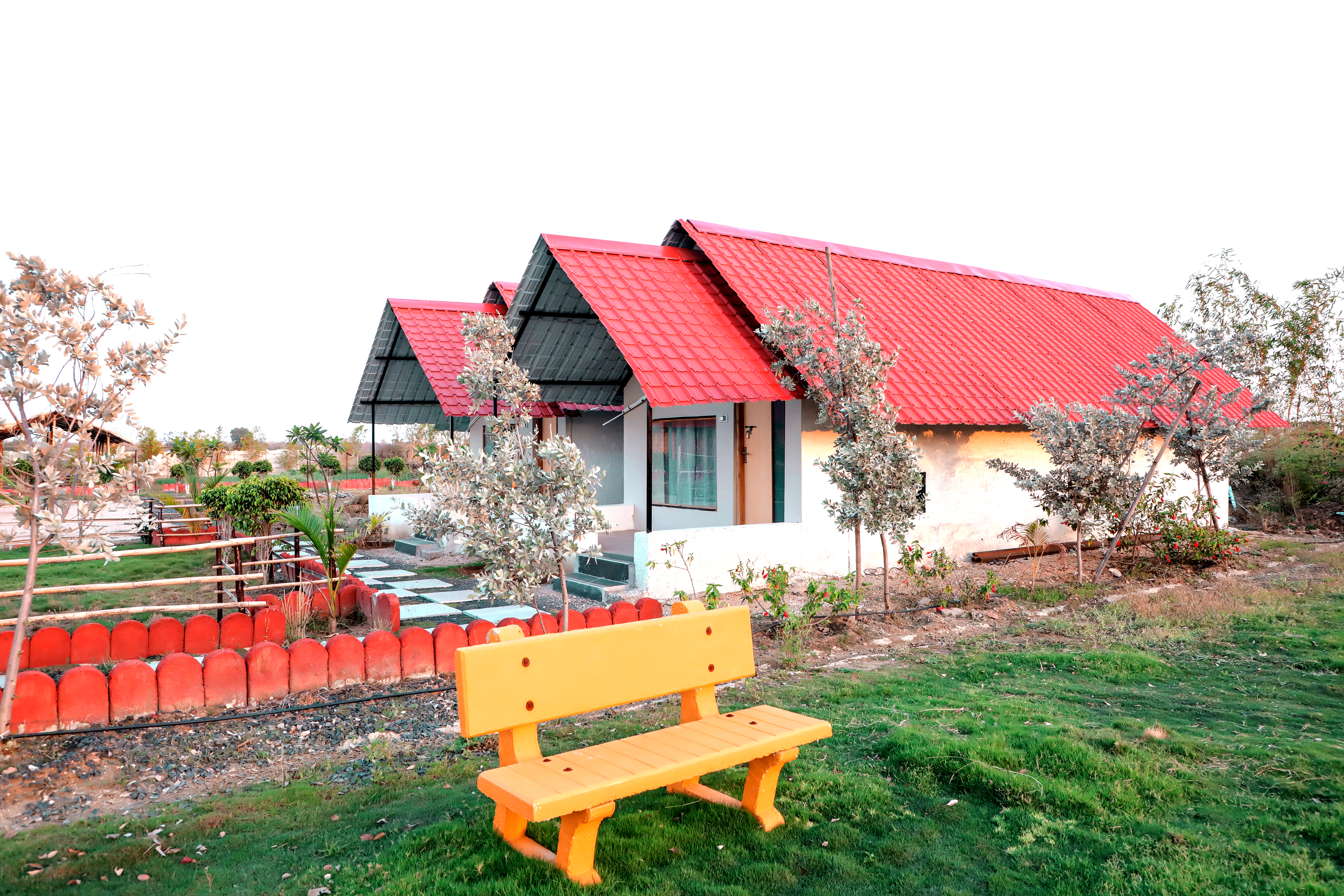 Bed in Dormitory Superior