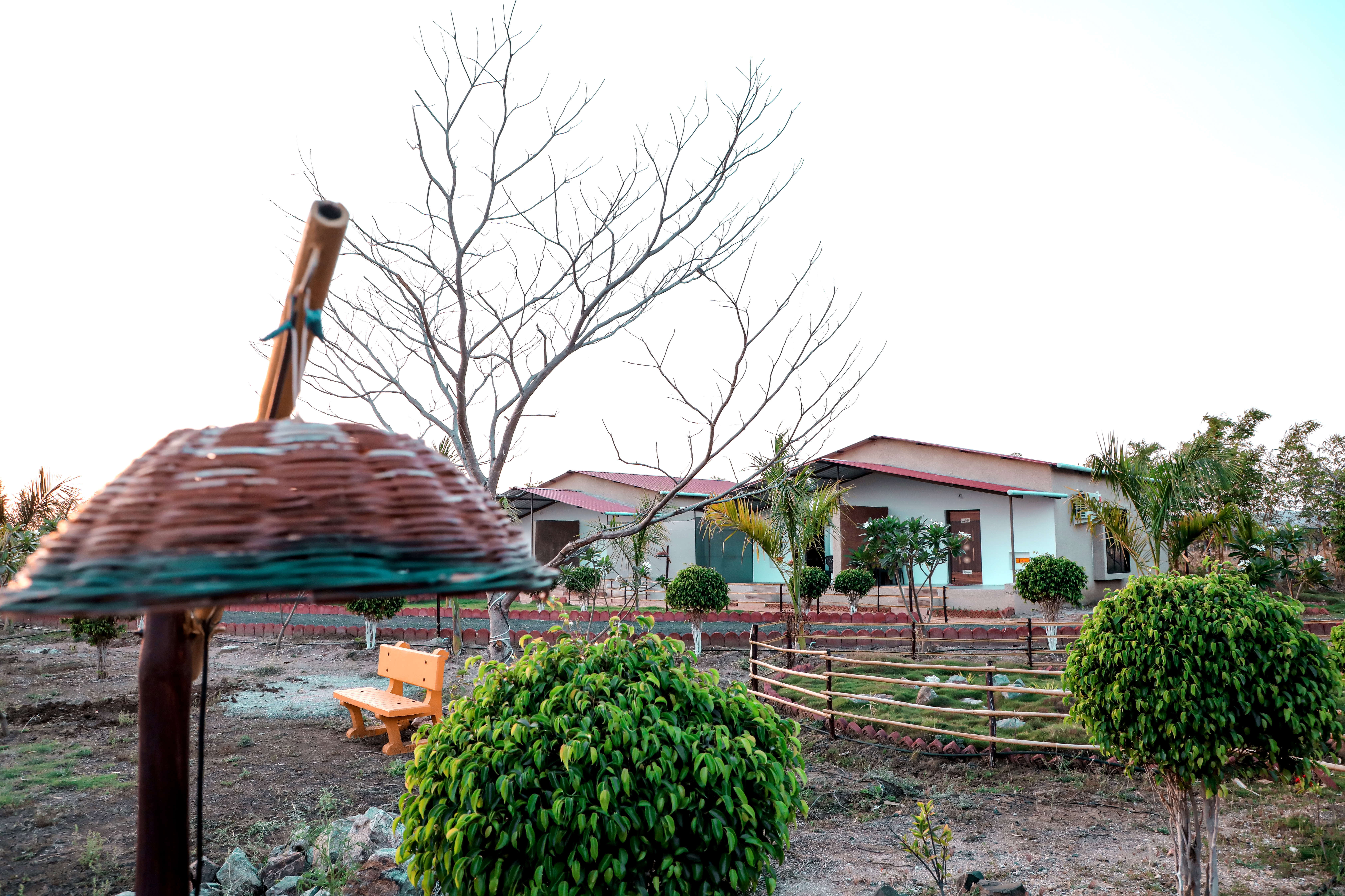 Double Superior King Bed