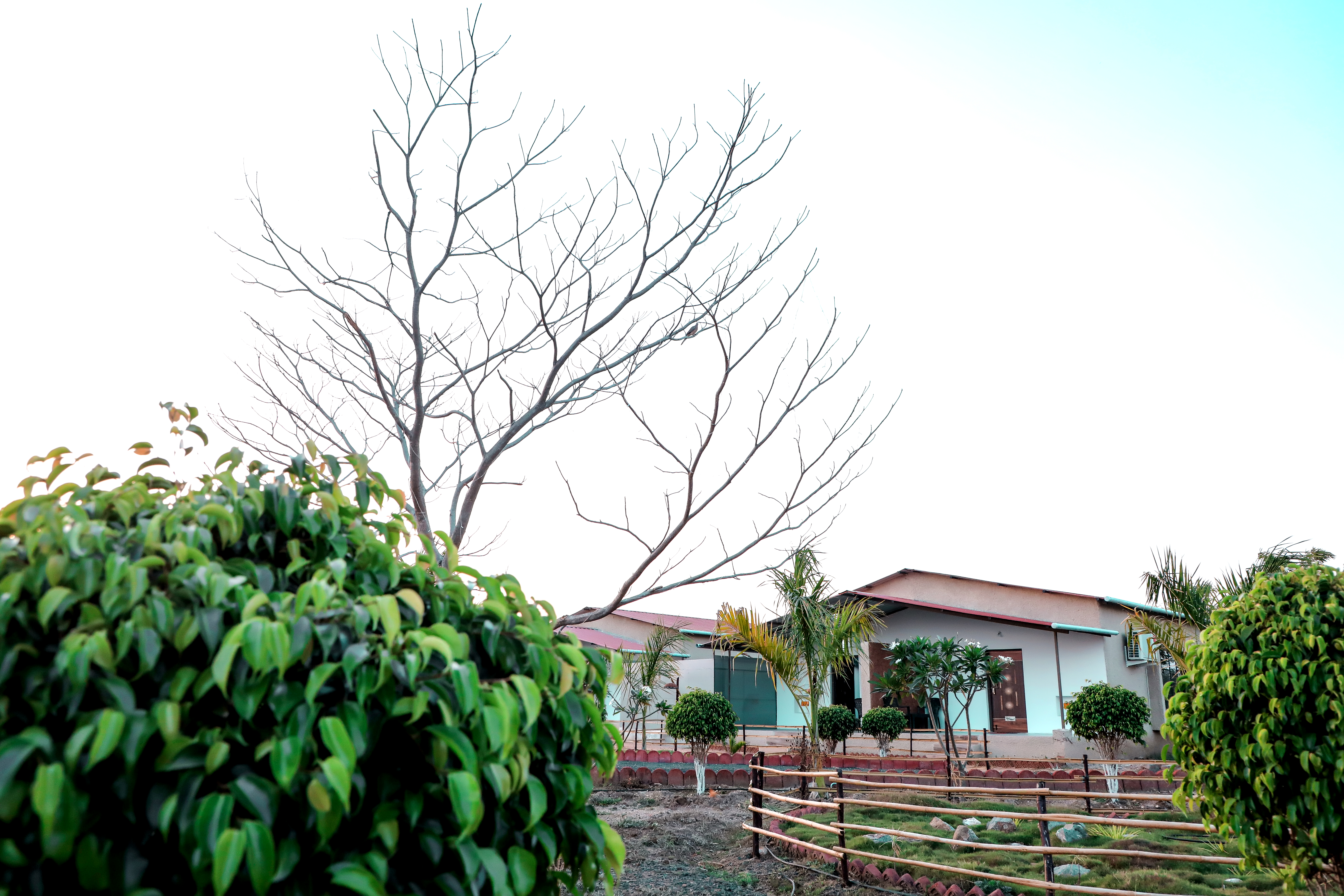 Double Superior King Bed