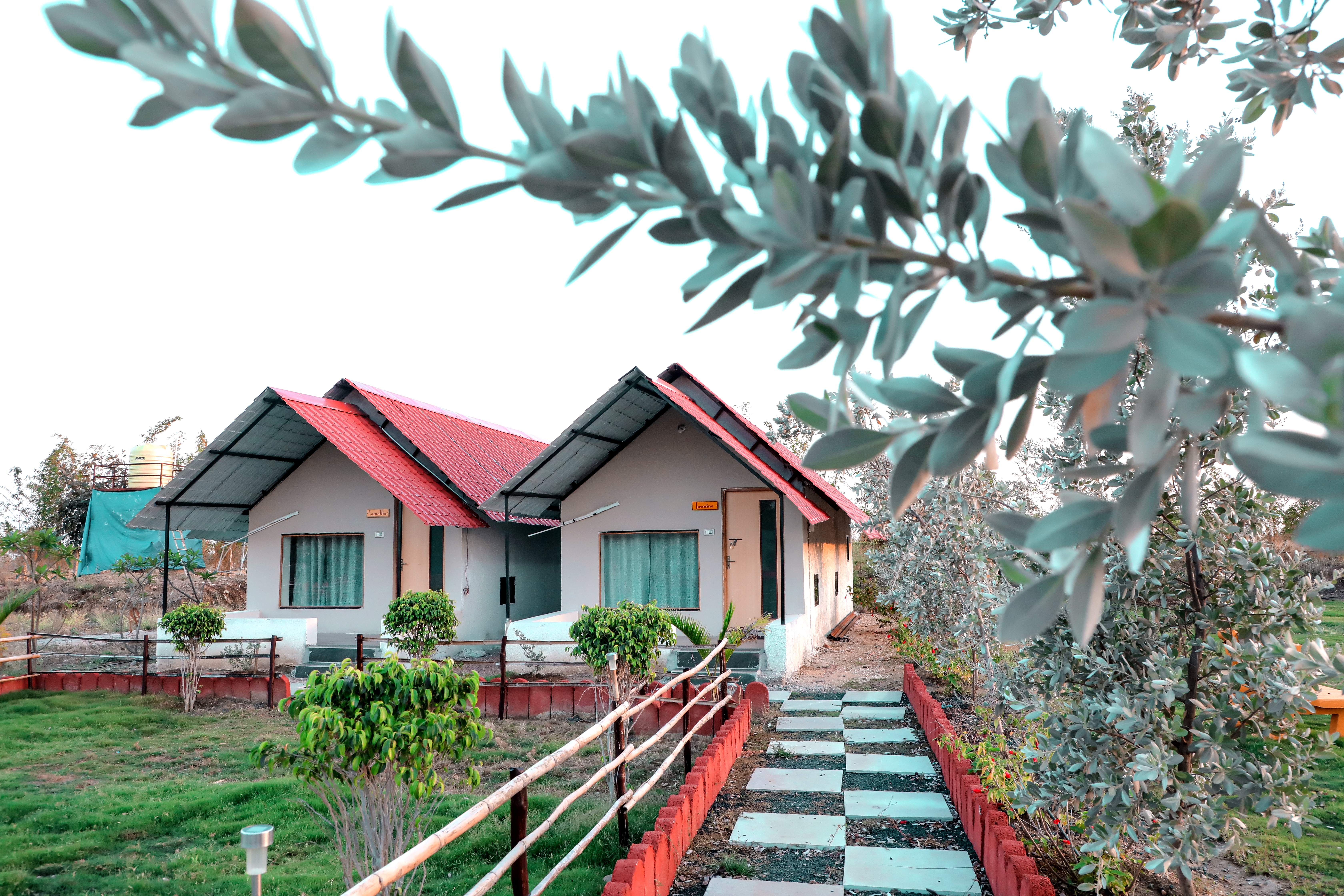 Bed in Dormitory Superior