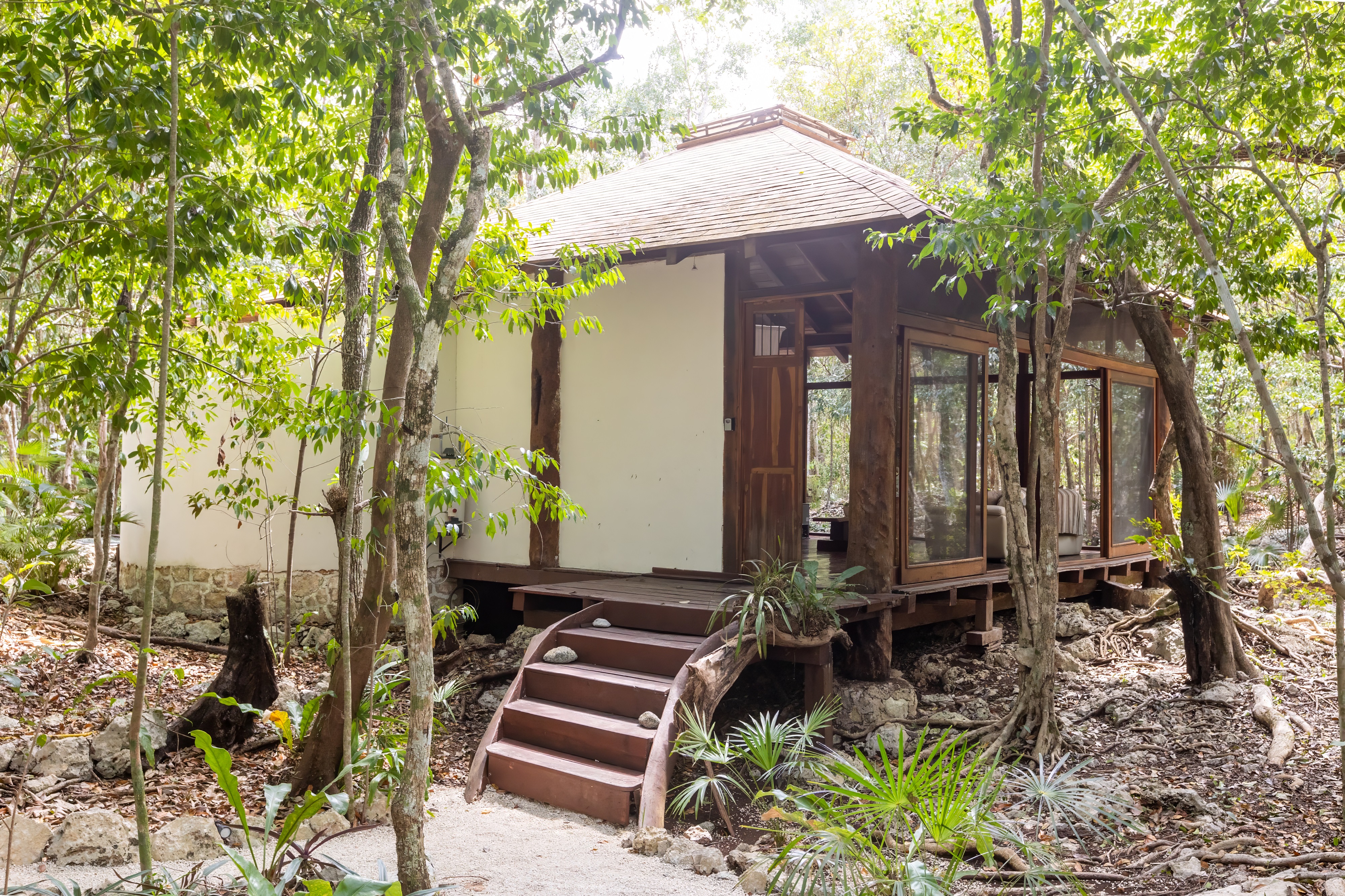 Suite King Bed One Bedroom 