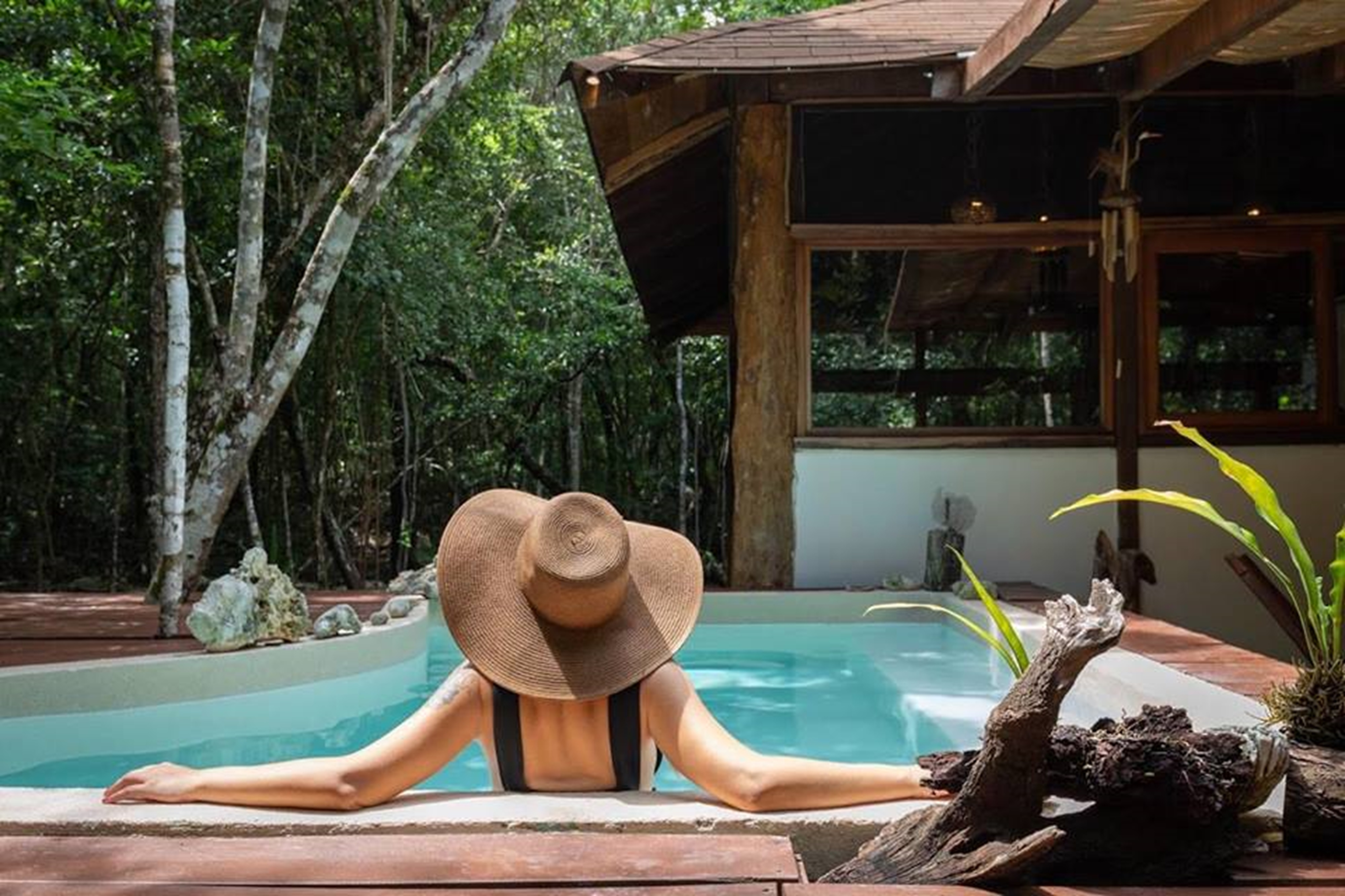 Suite King Bed One Bedroom 