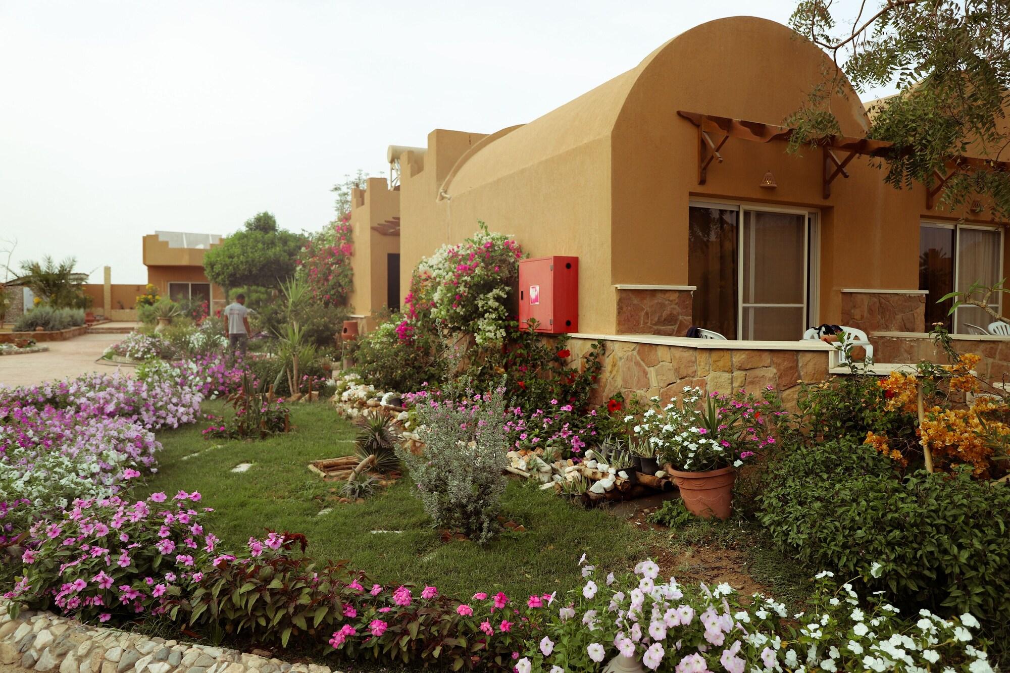 Twin Deluxe Garden View