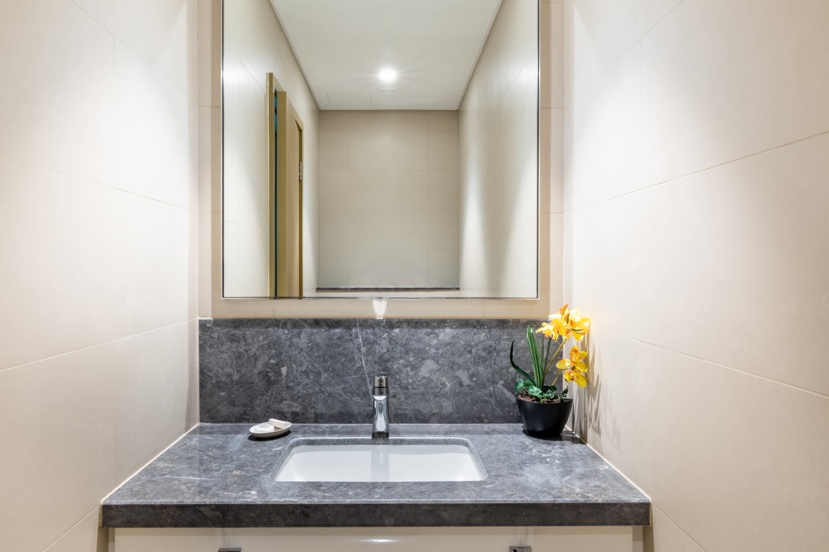 Apartment One Bedroom