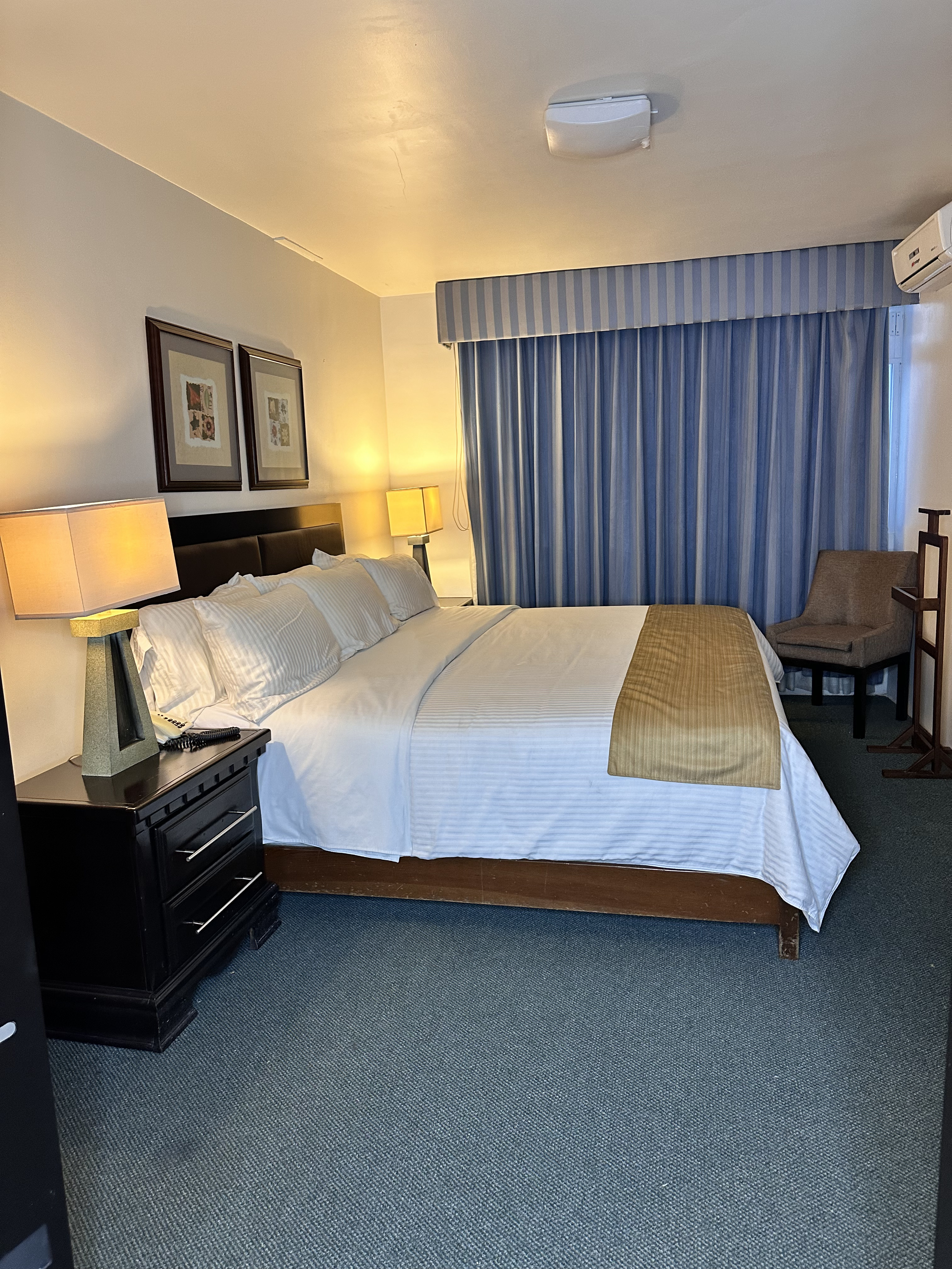 Junior Suite King Bed One Bedroom 