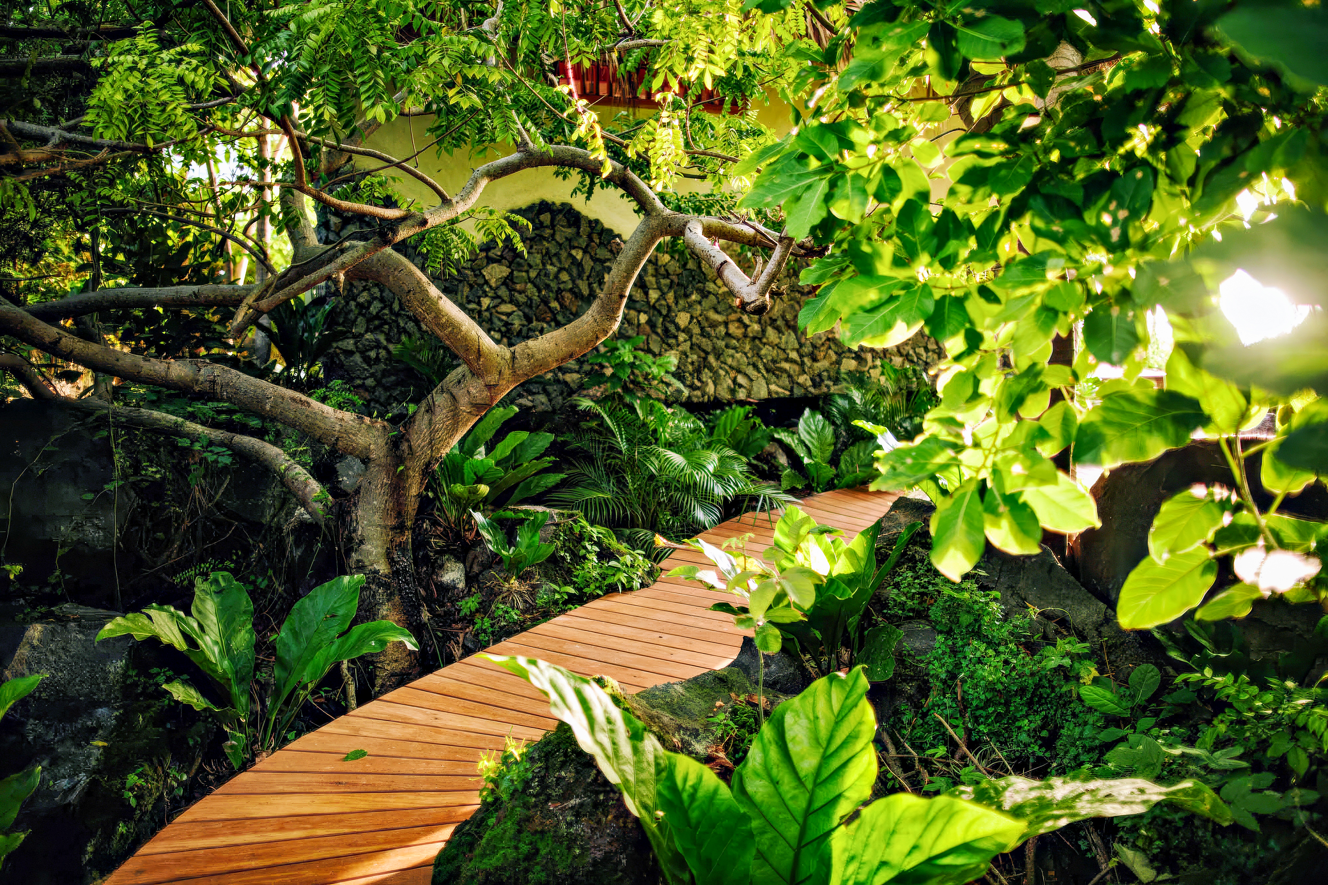 Double Deluxe King Bed