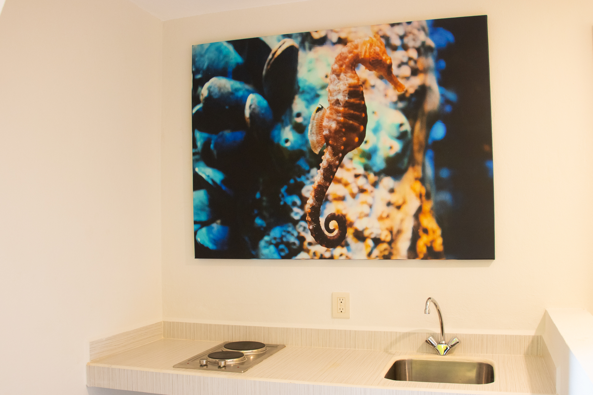 Junior Suite Deluxe Ocean View