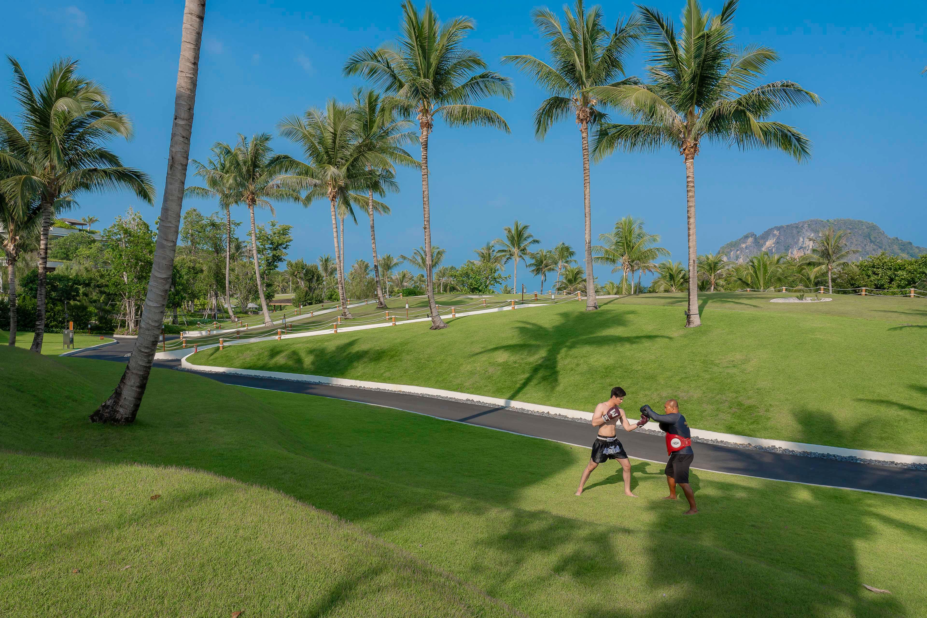 Sports and Entertainment