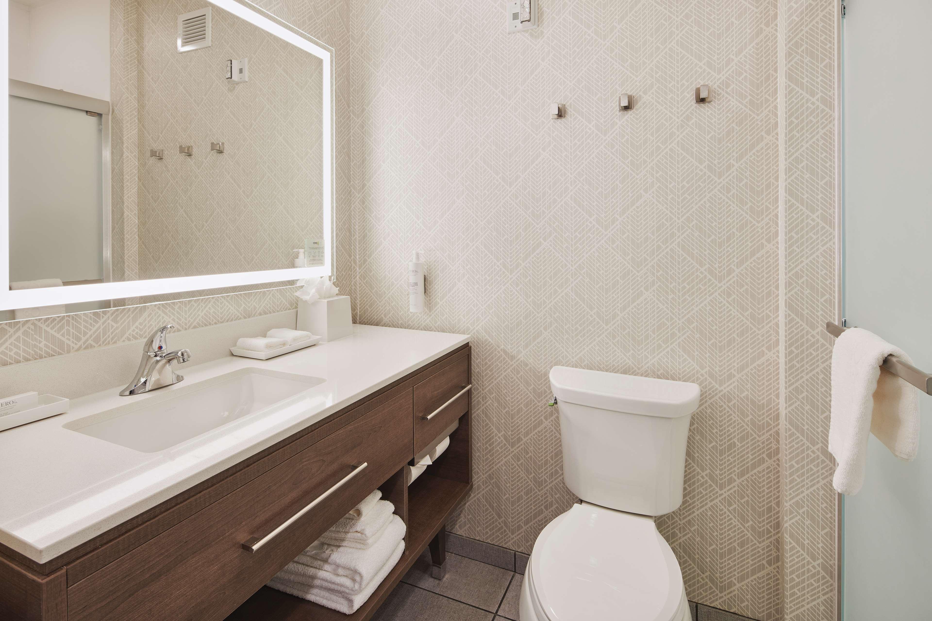 Suite King Bed One Bedroom 