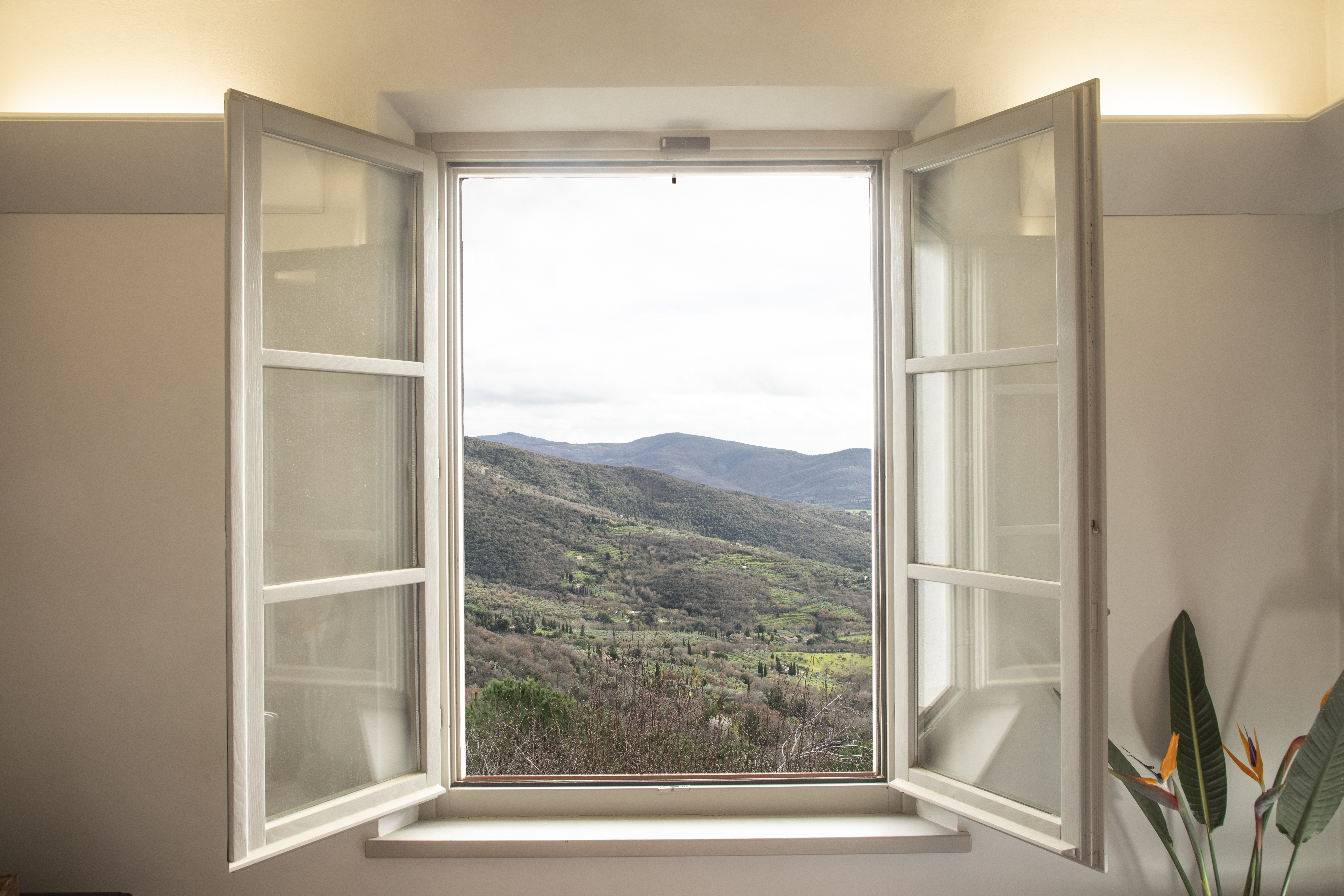 Double or Twin Classic