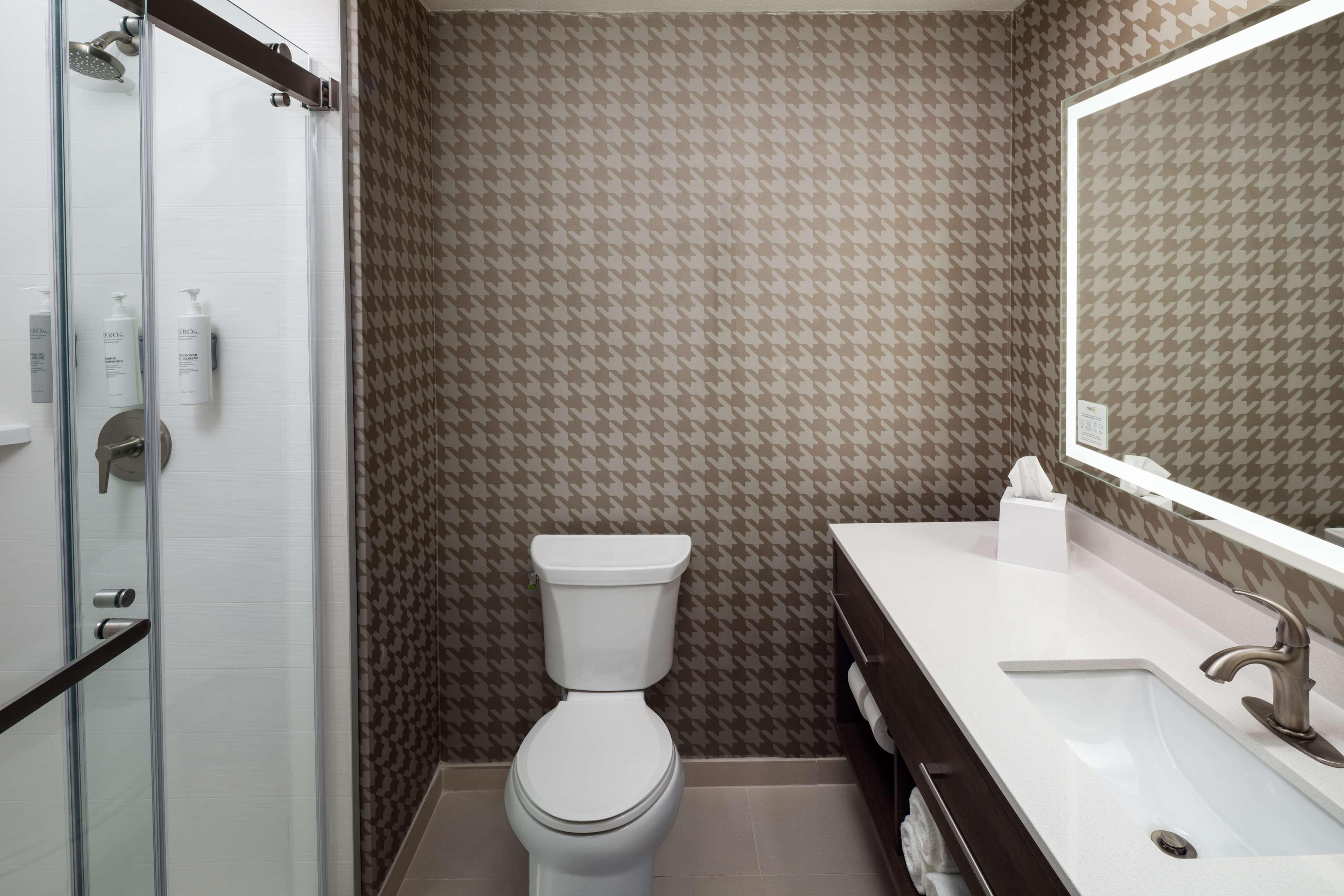 Studio Two Queen Beds