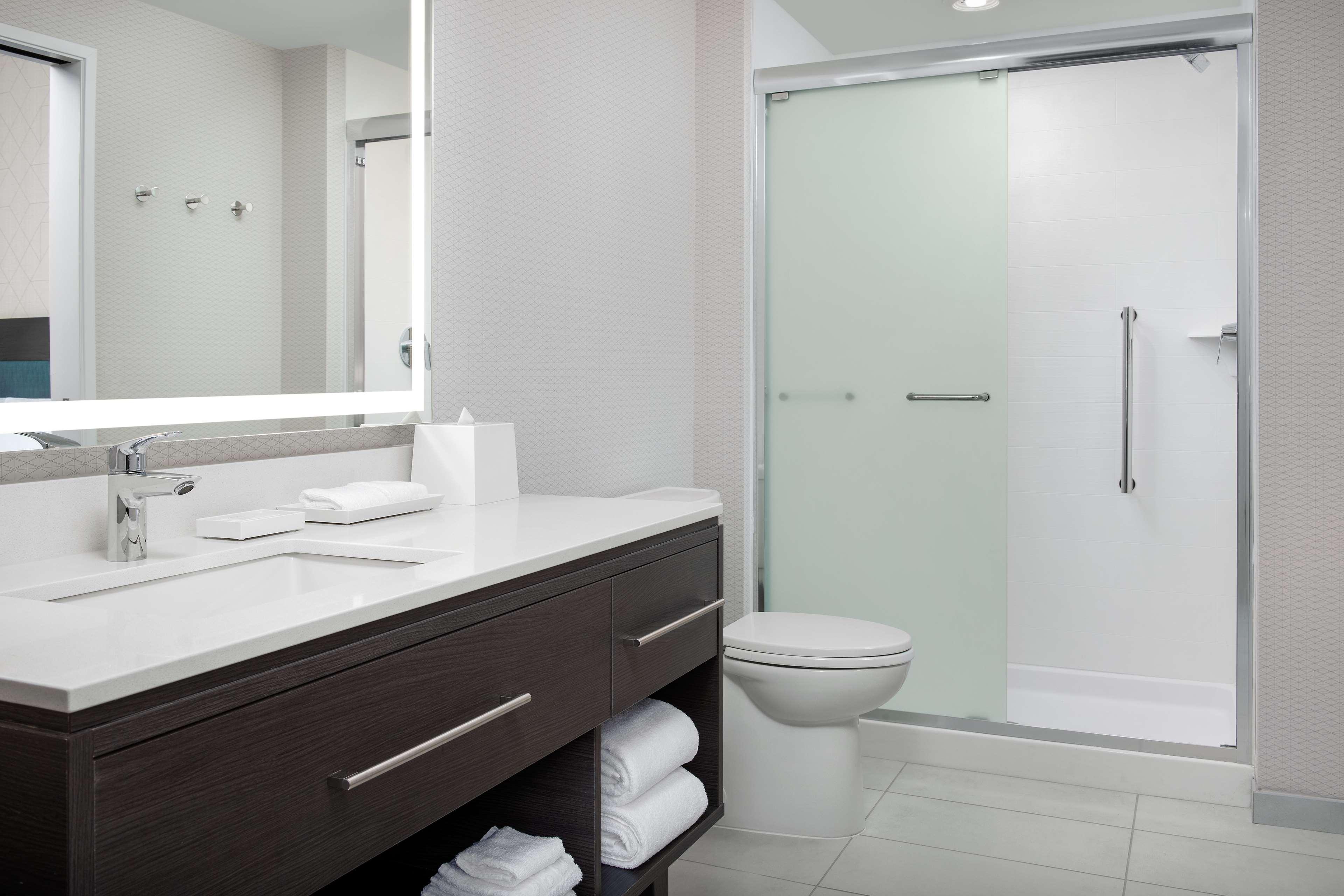 Suite King Bed One Bedroom 