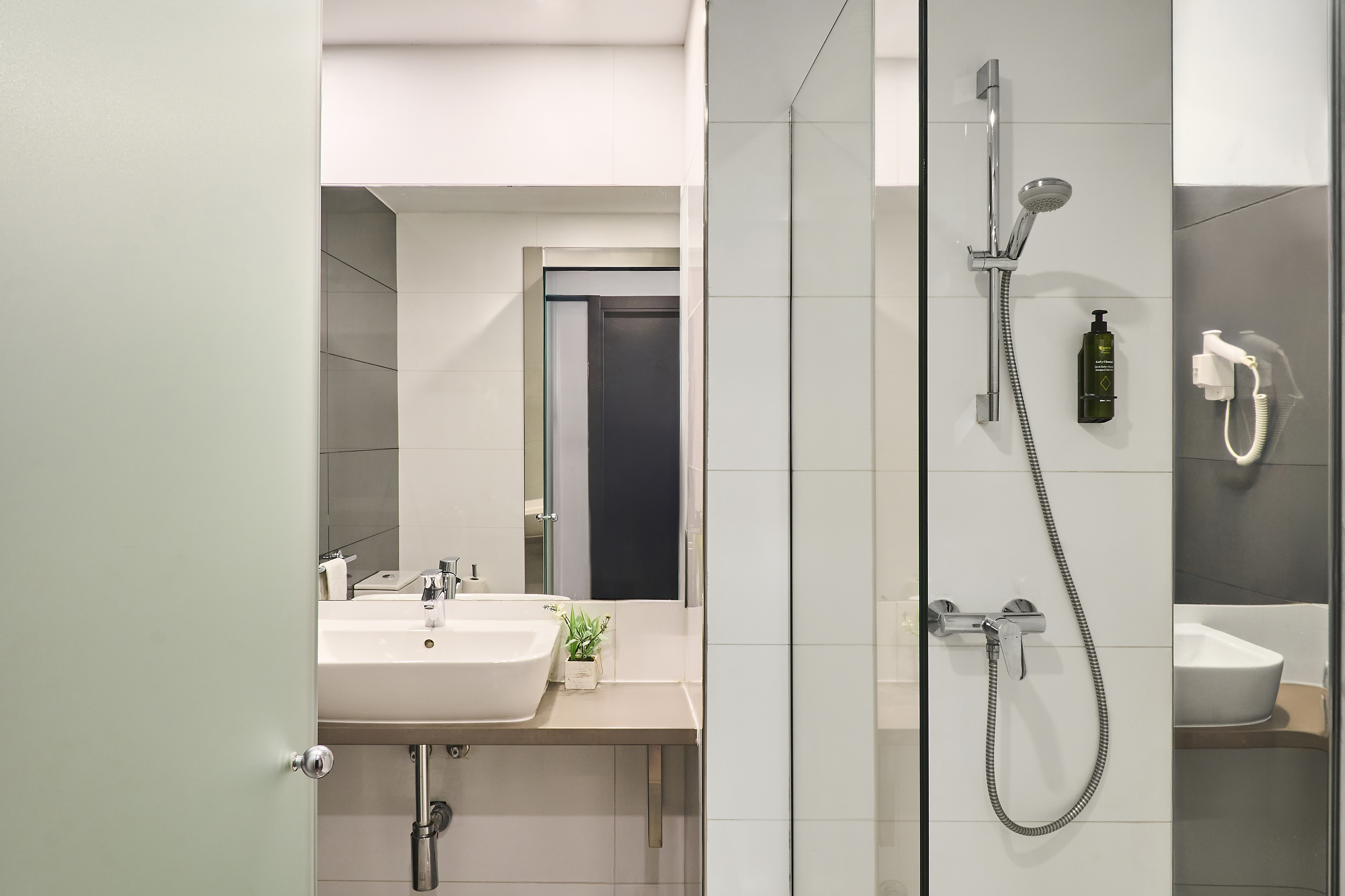 Double or Twin Standard