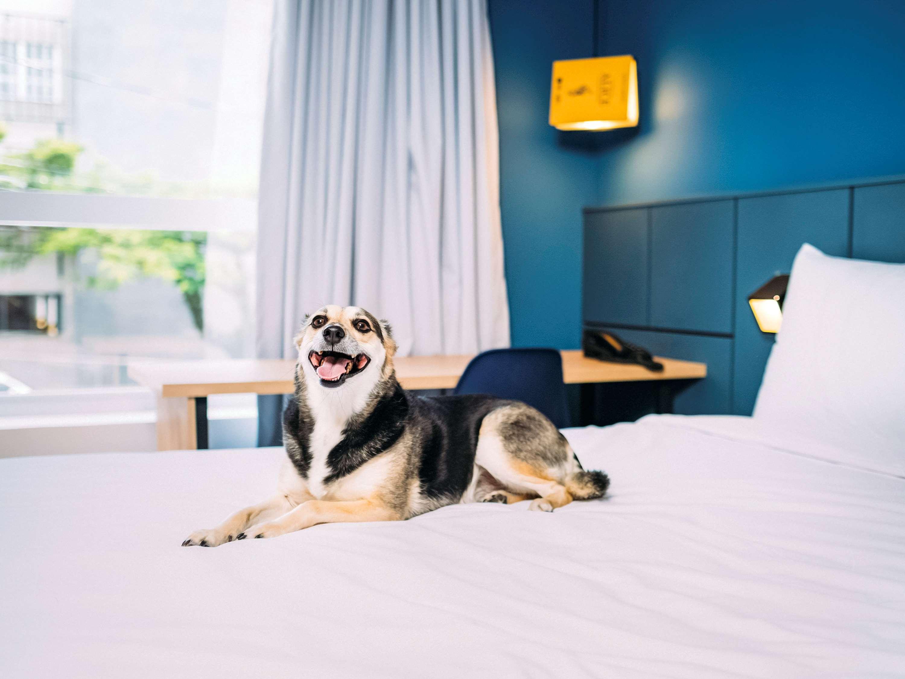 Apartment with Double Bed