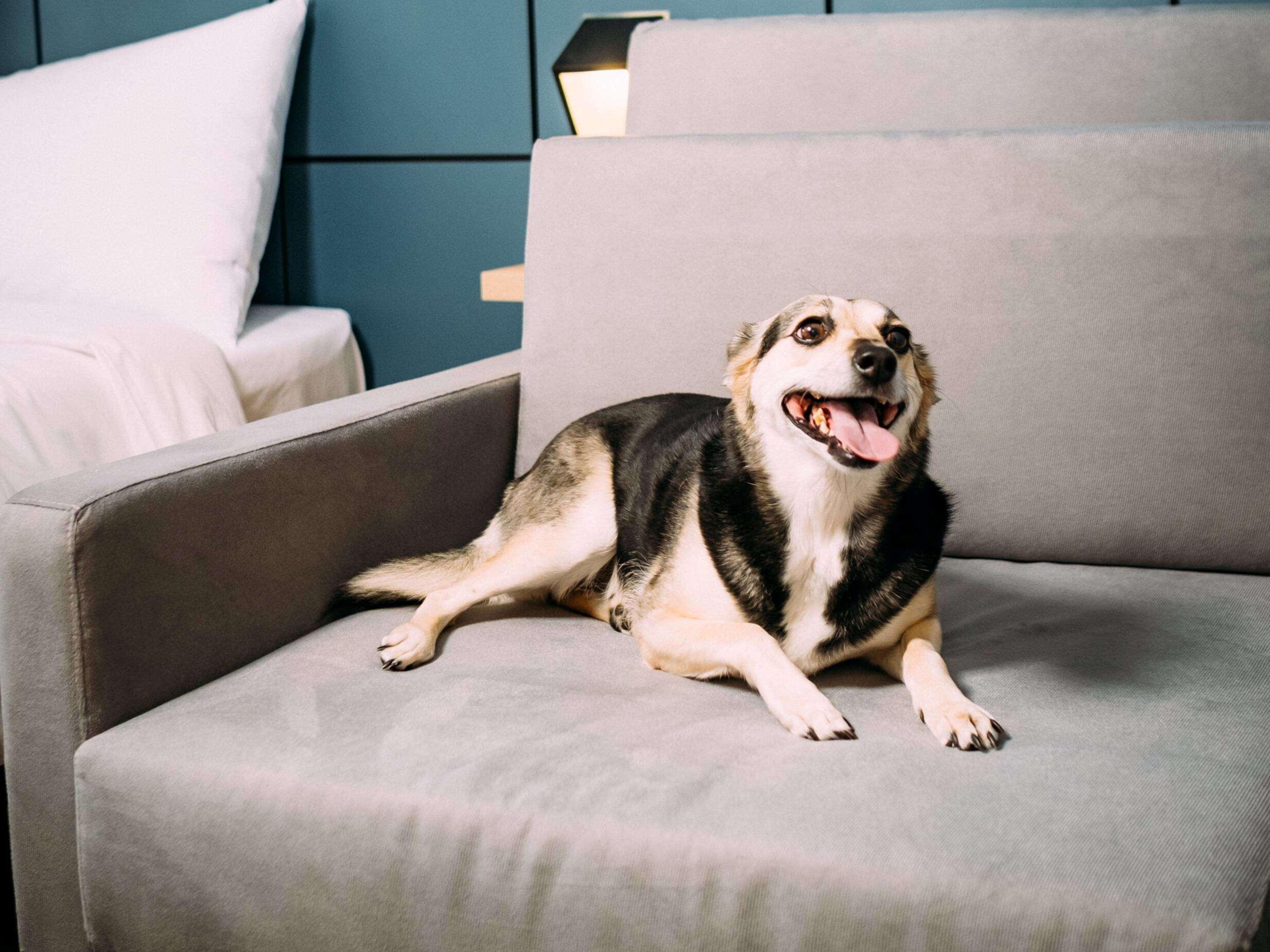 Apartment Accessible