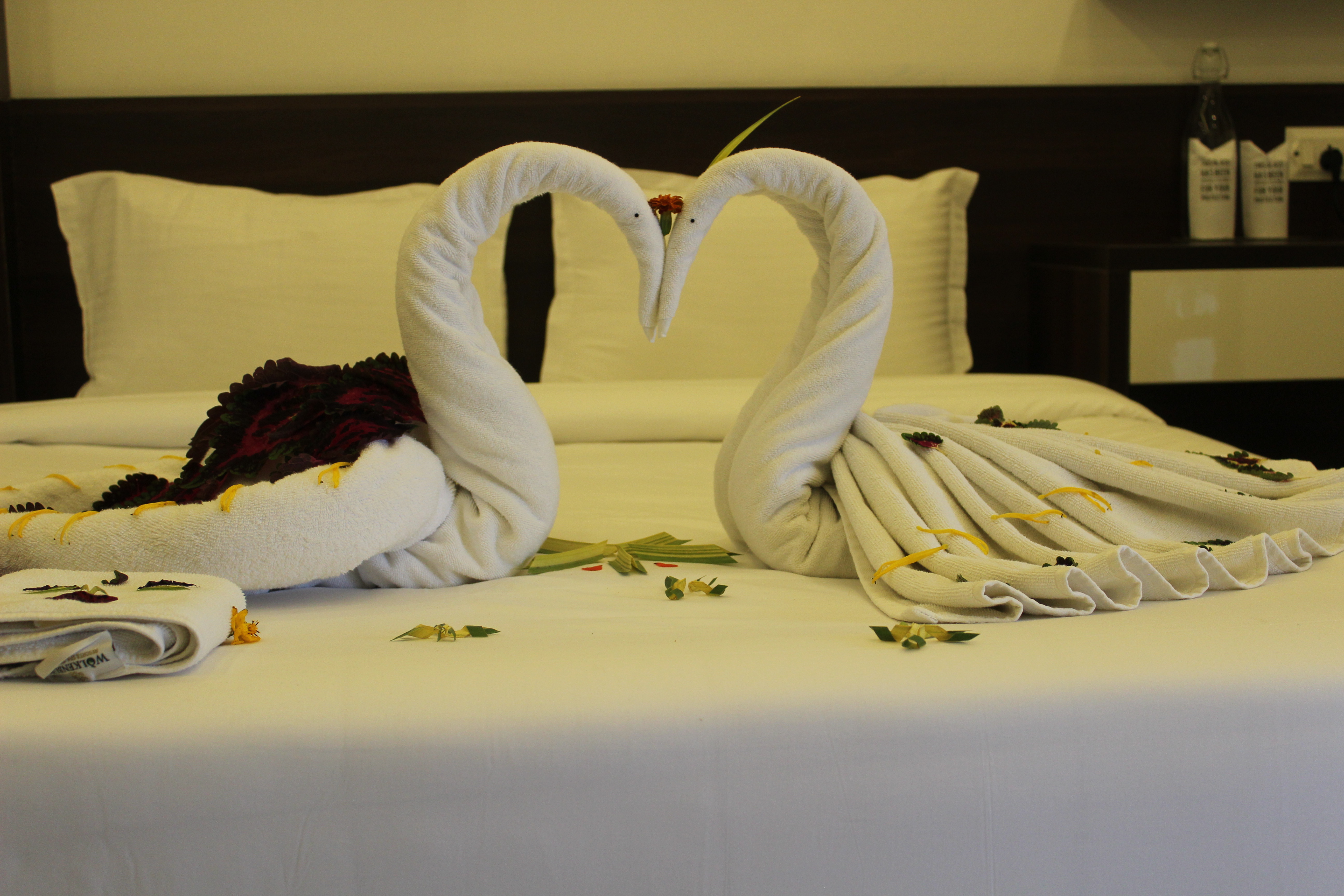 Double Deluxe One Bed