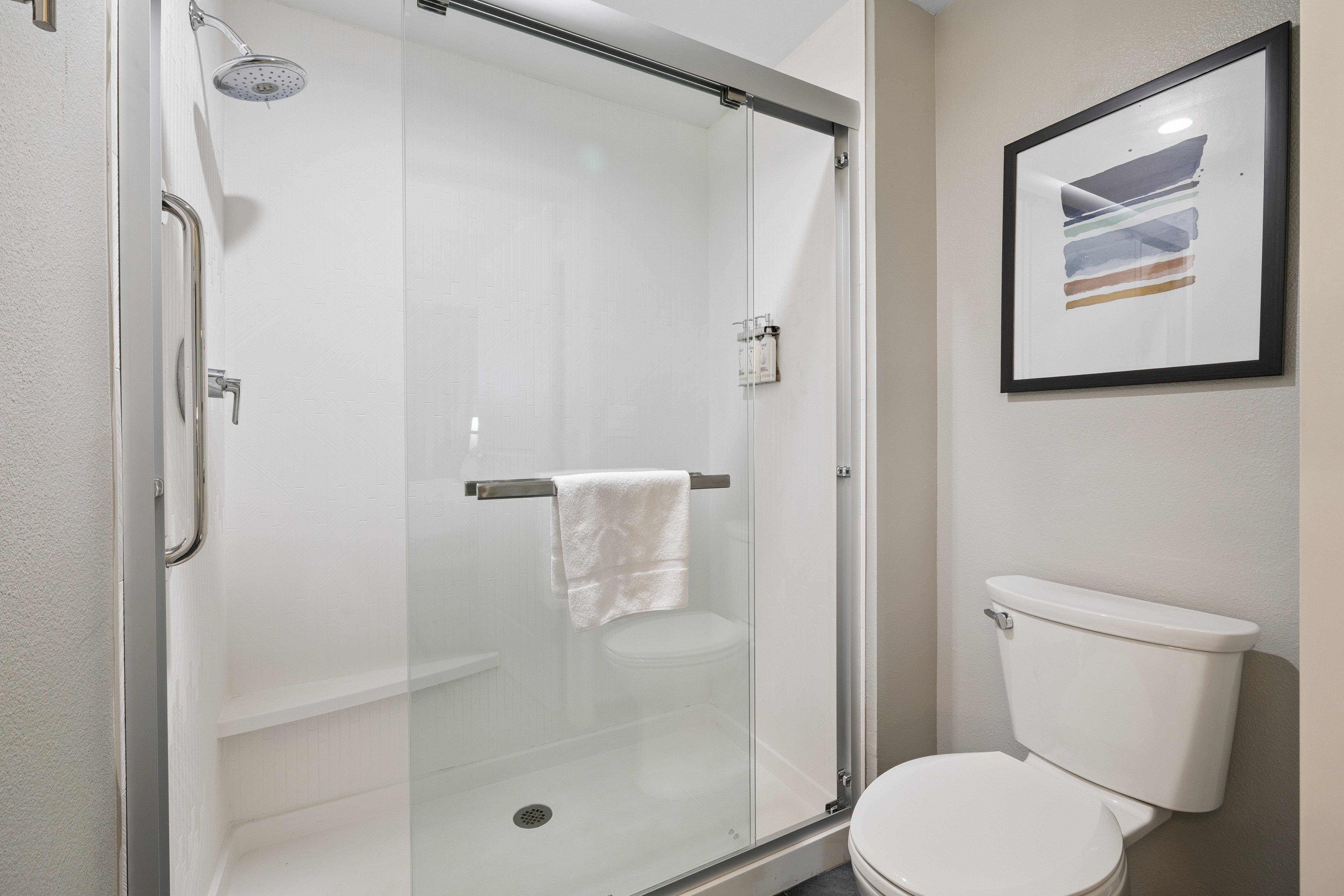 Suite King Bed One Bedroom 